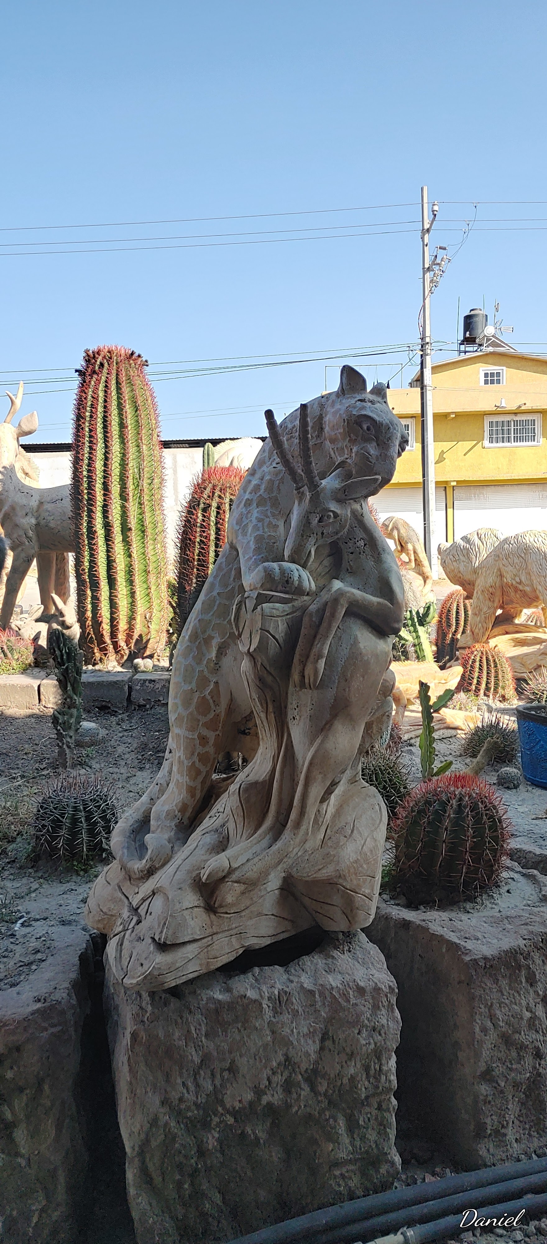 Restaurante Leones Norteños image 9