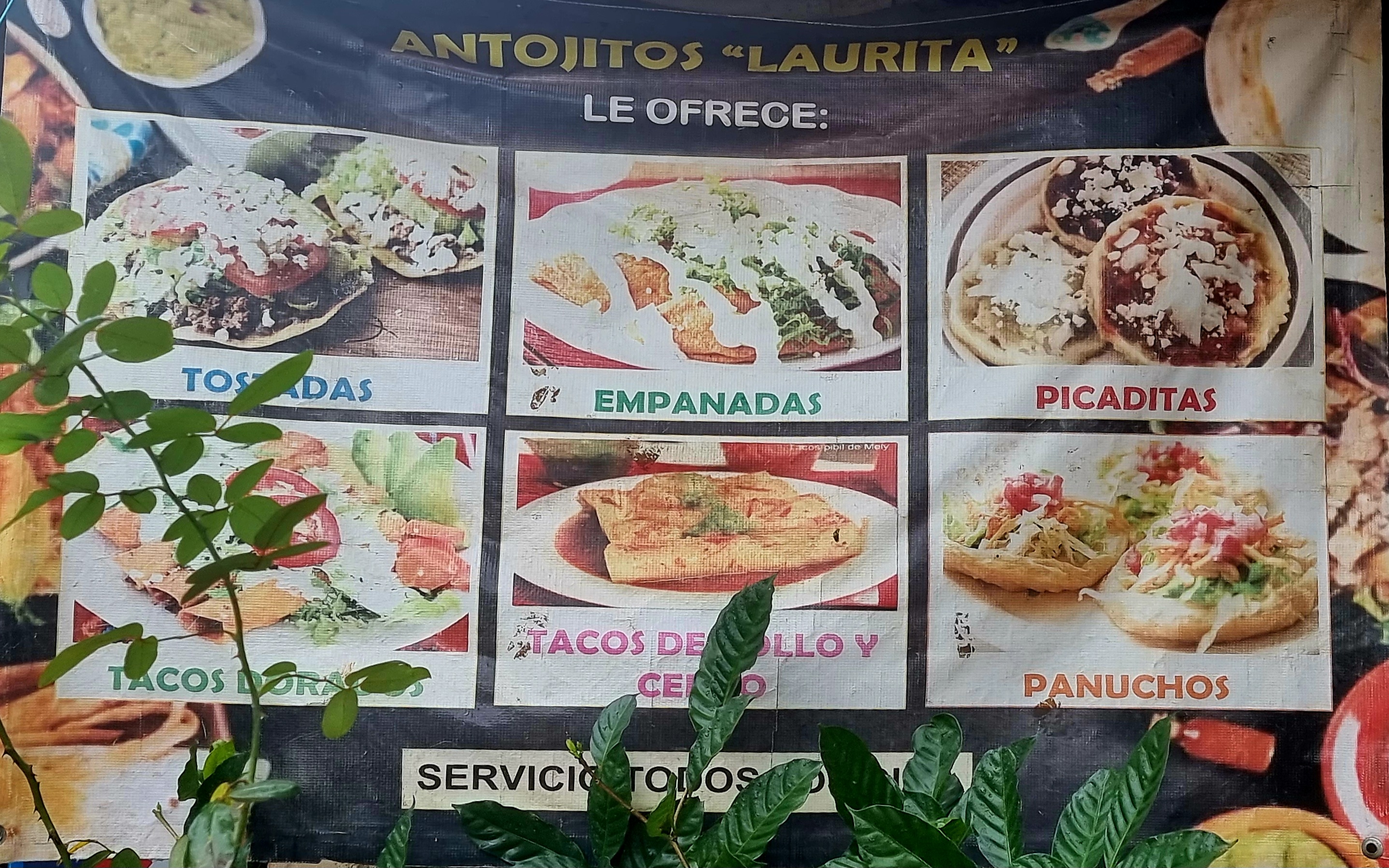 Antojitos "Laurita" image 9