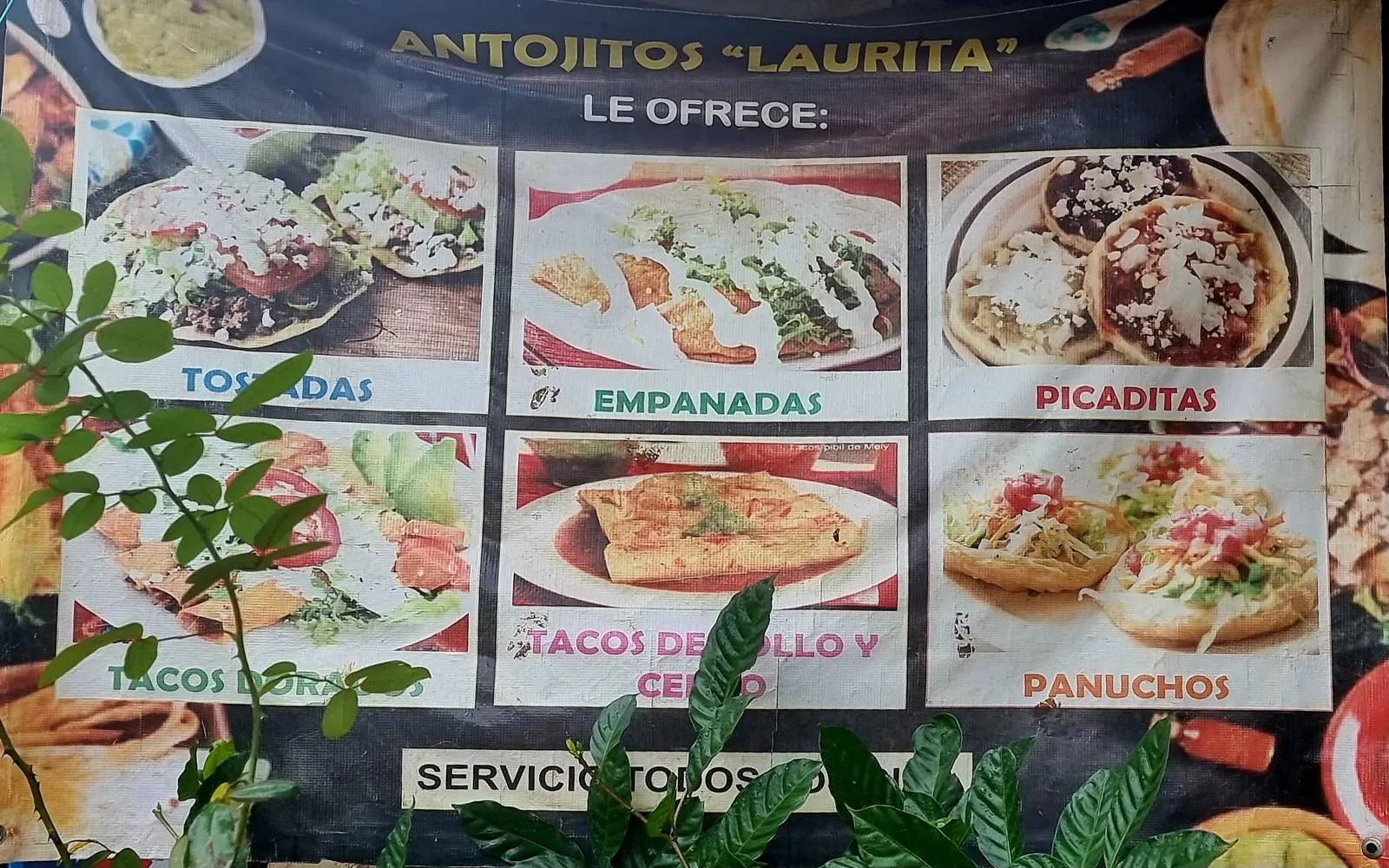 Antojitos "Laurita" image 9
