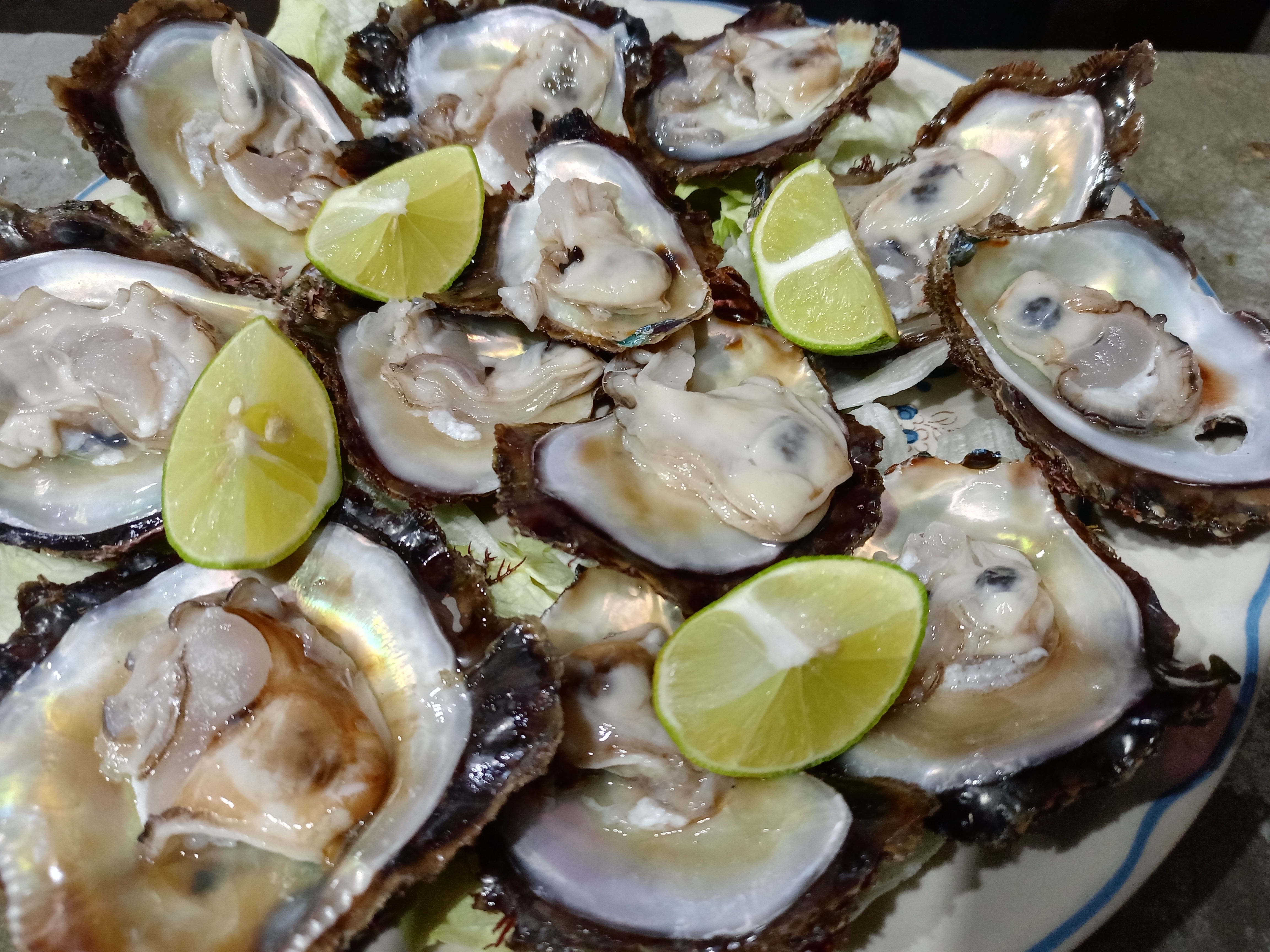 Las Adelitas Del Sur image 9