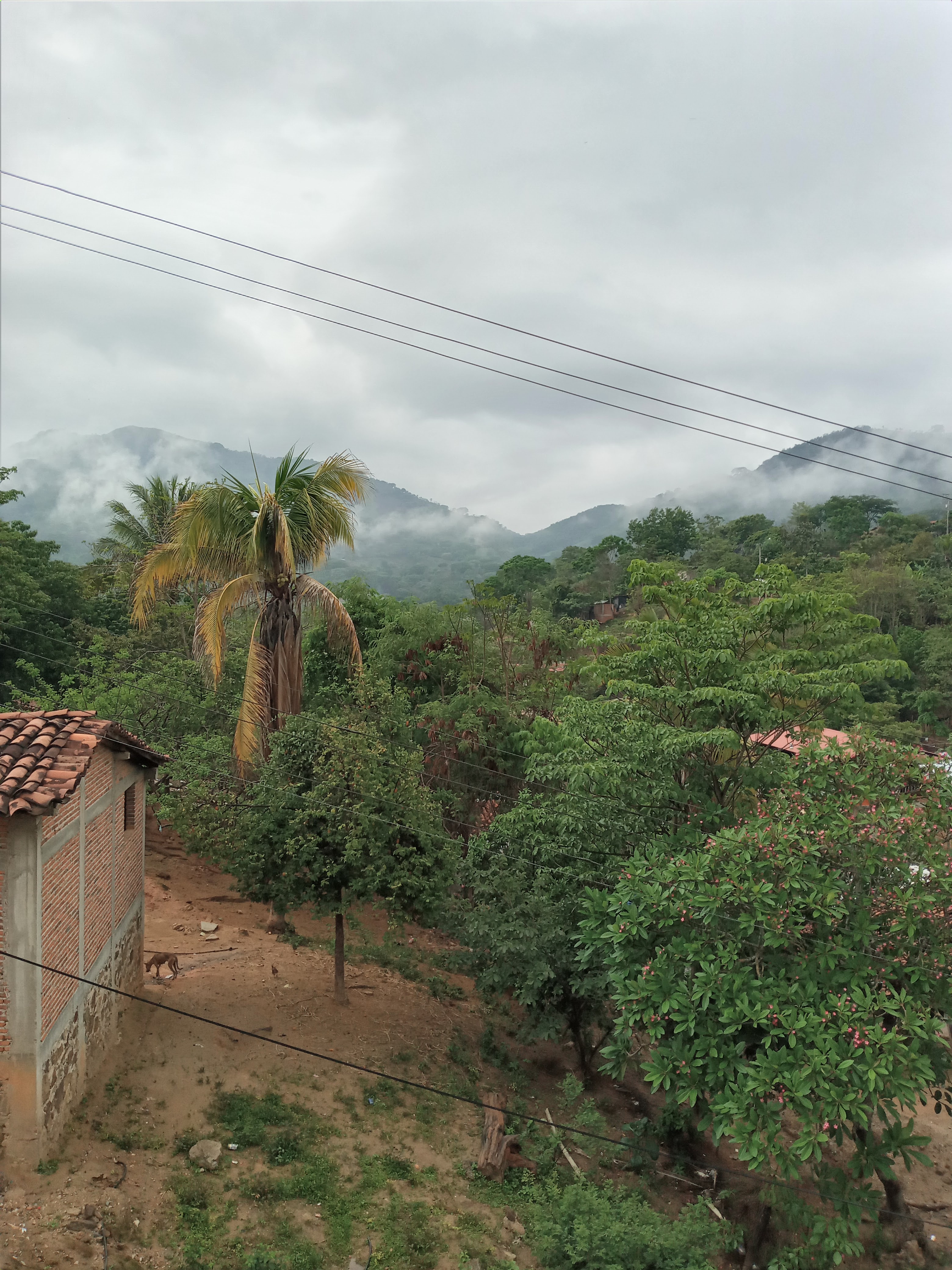 El Mirador De Aslan Restaurante image 6