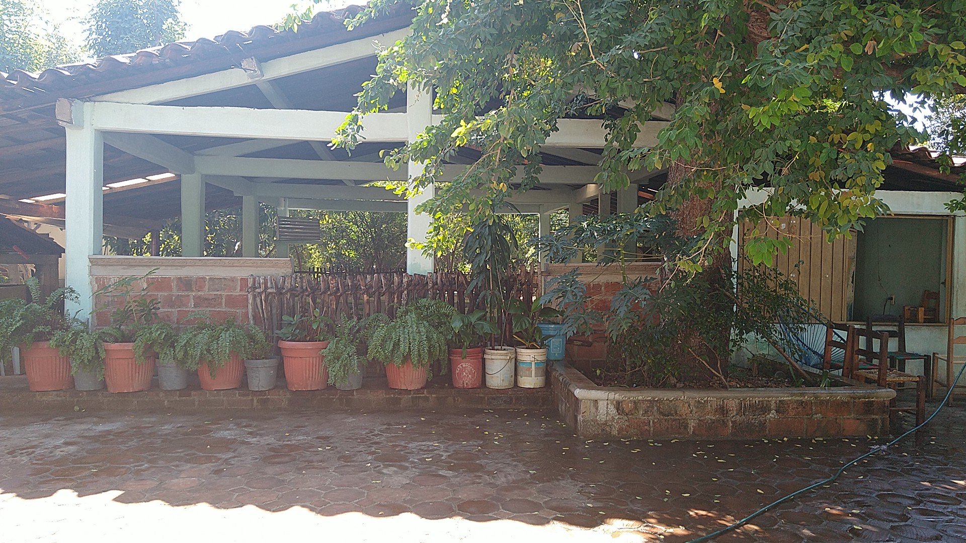 Restaurante "La pollita" image 4