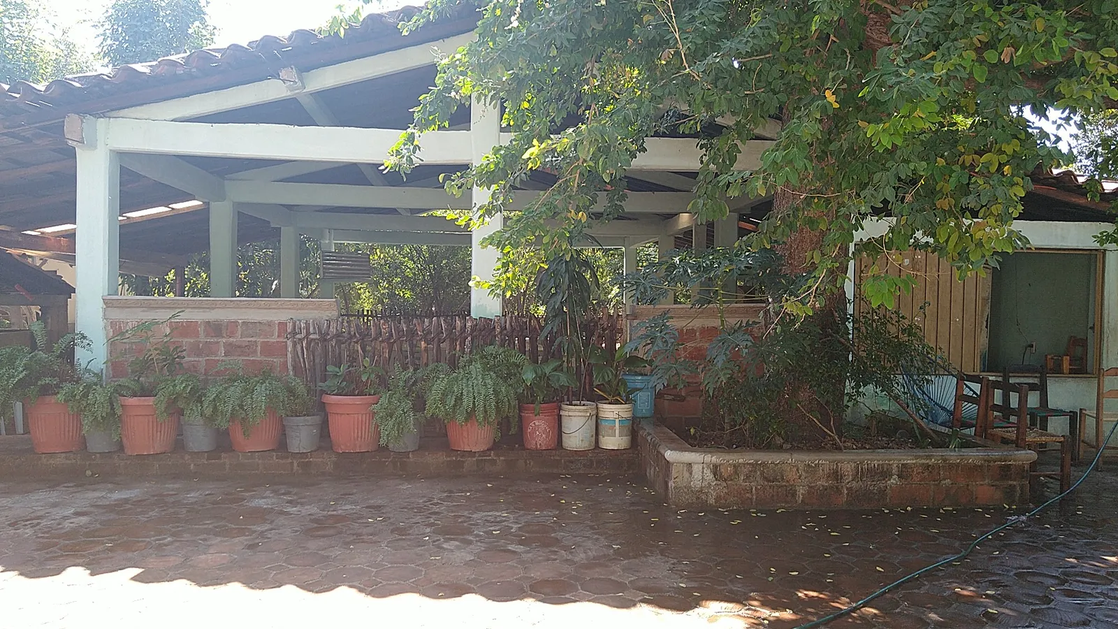 Restaurante "La pollita" image 4