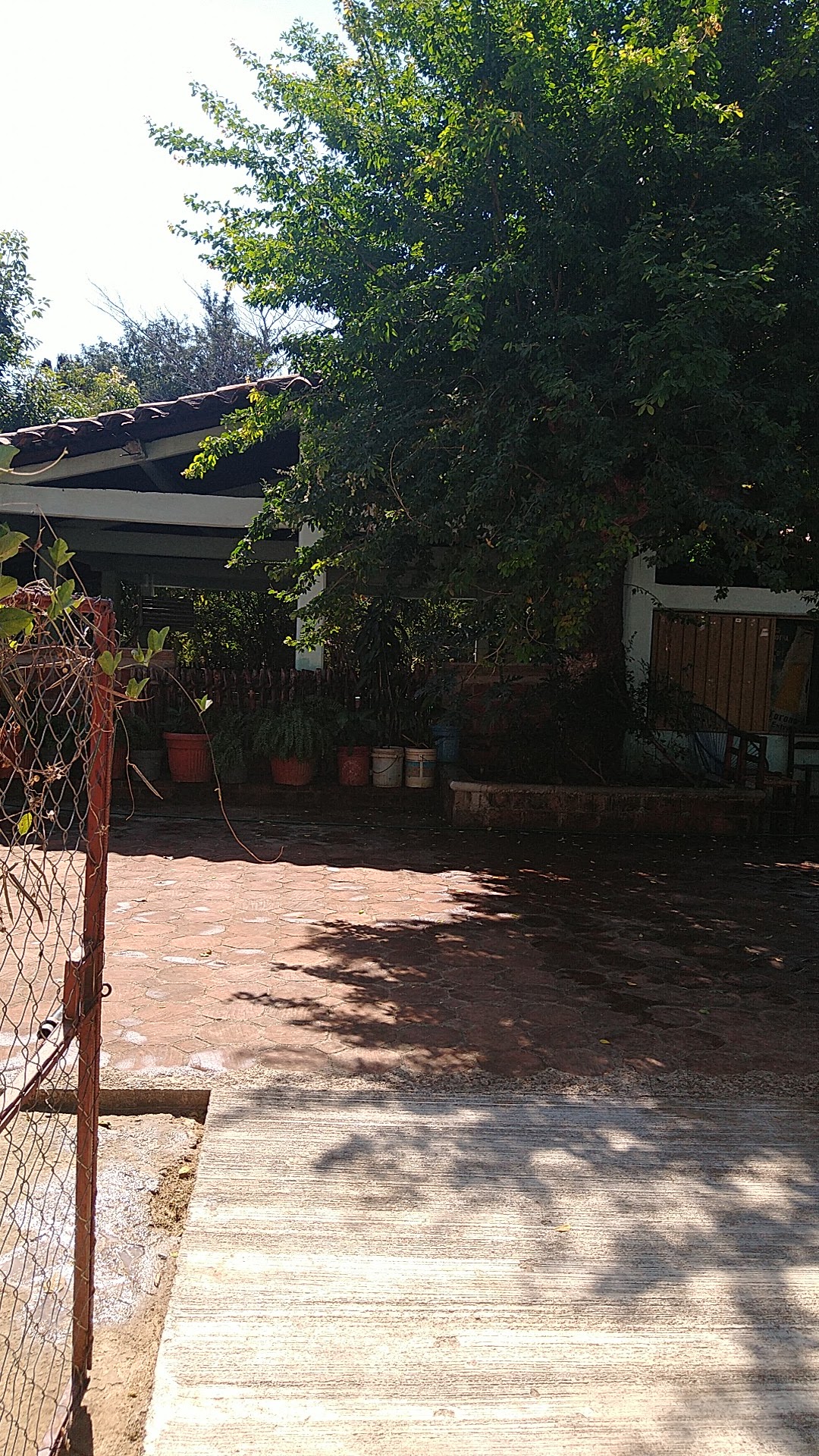 Restaurante "La pollita" image 7