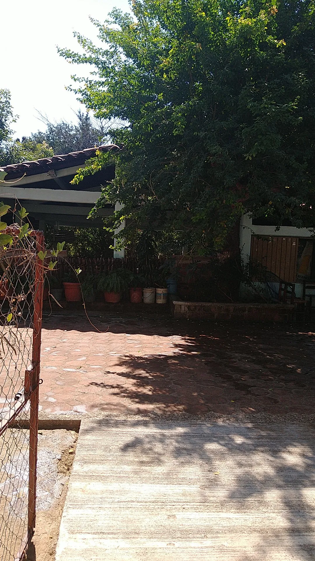 Restaurante "La pollita" image 7