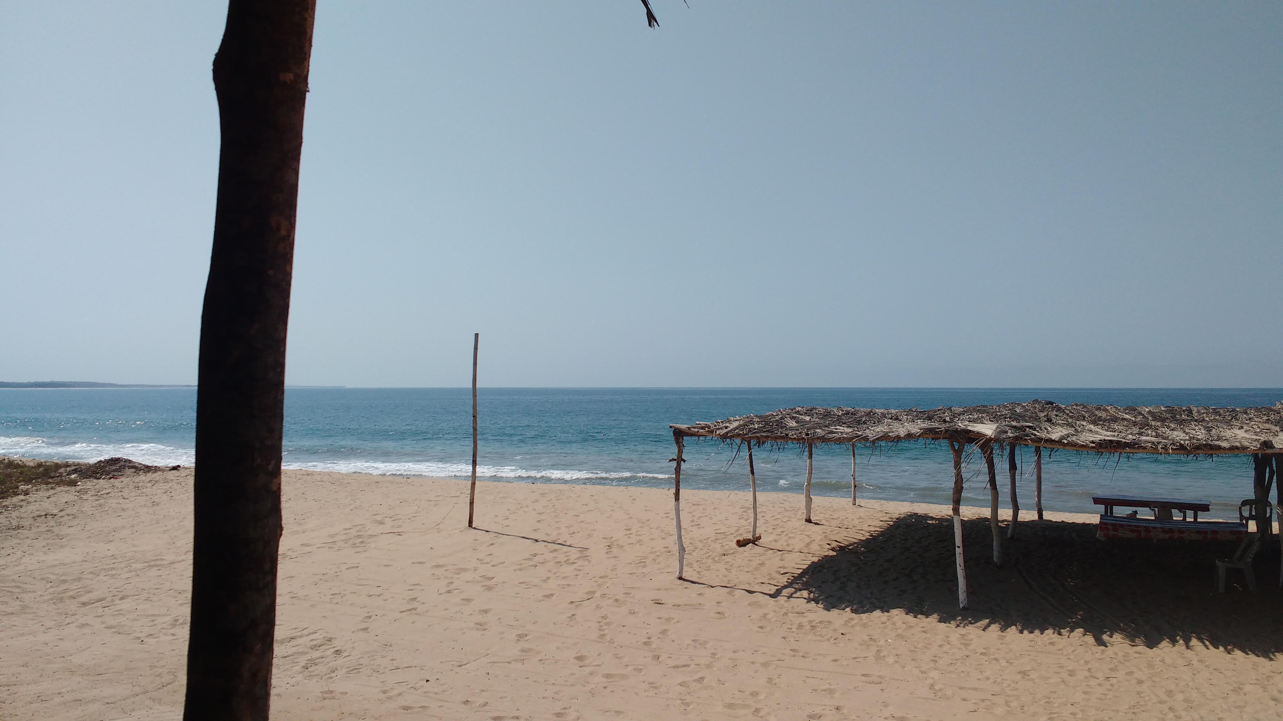 Restaurant La Guitarra image 4