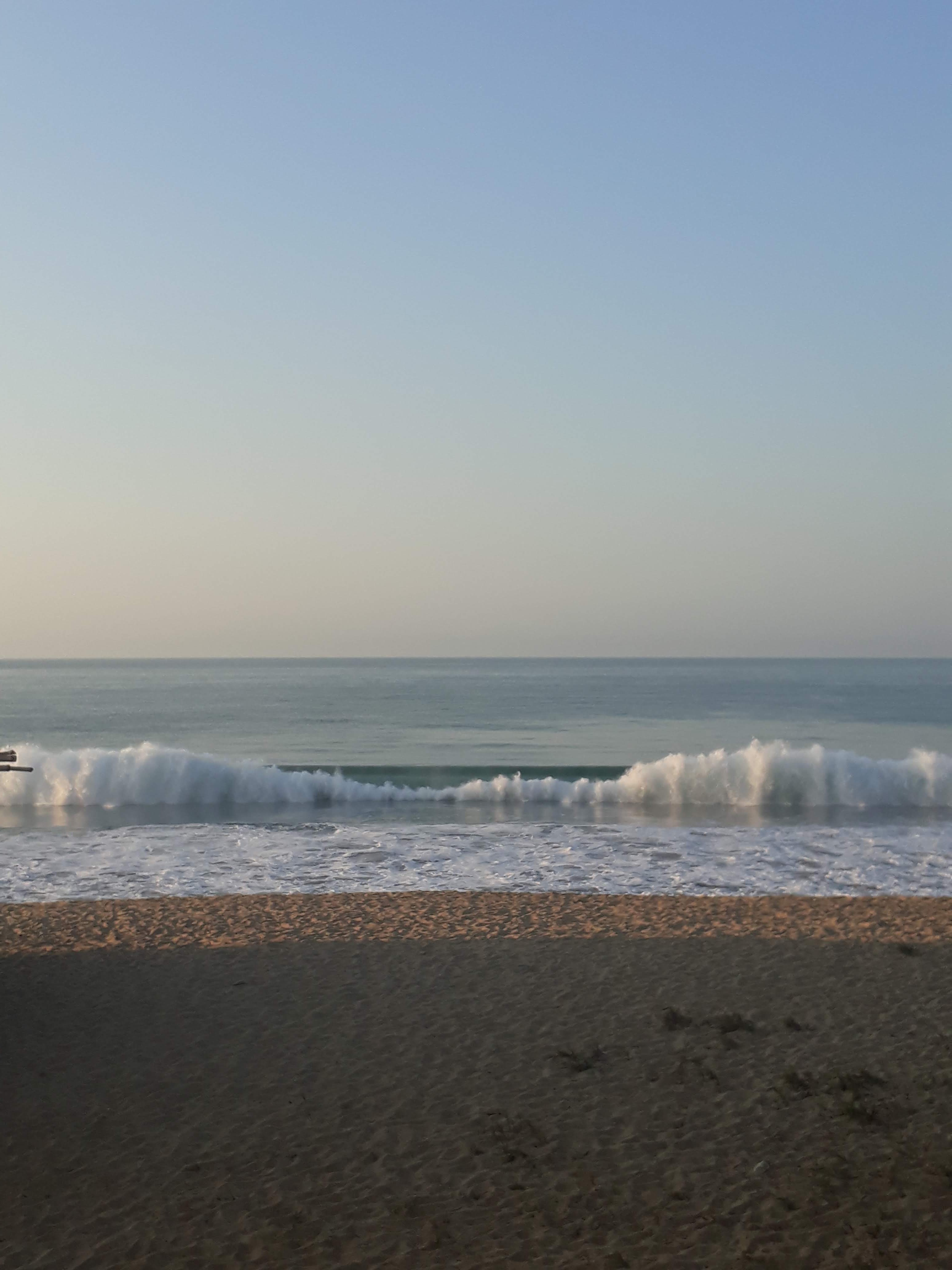 Restaurant La Guitarra image 6