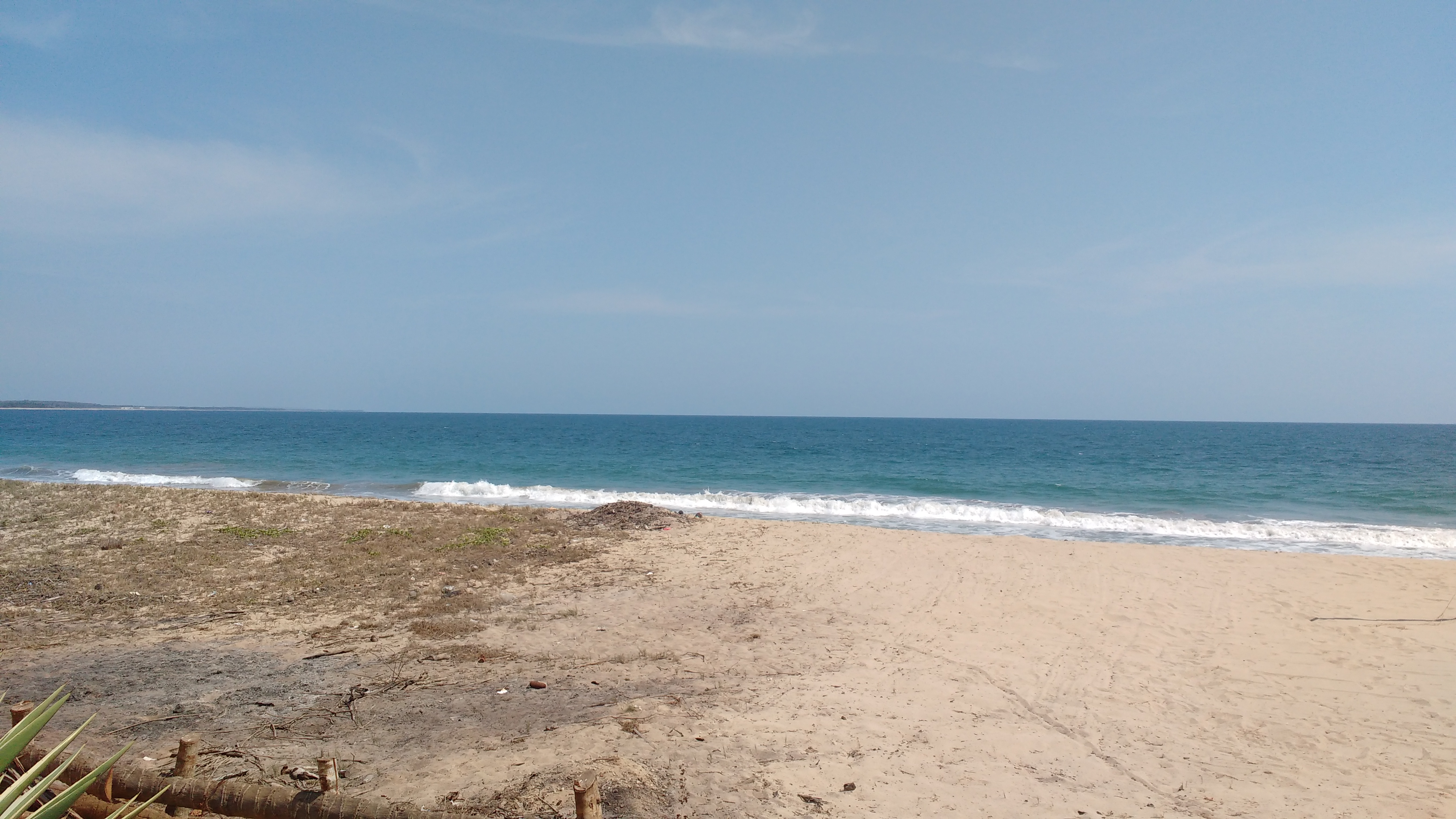 Restaurant La Guitarra image 7