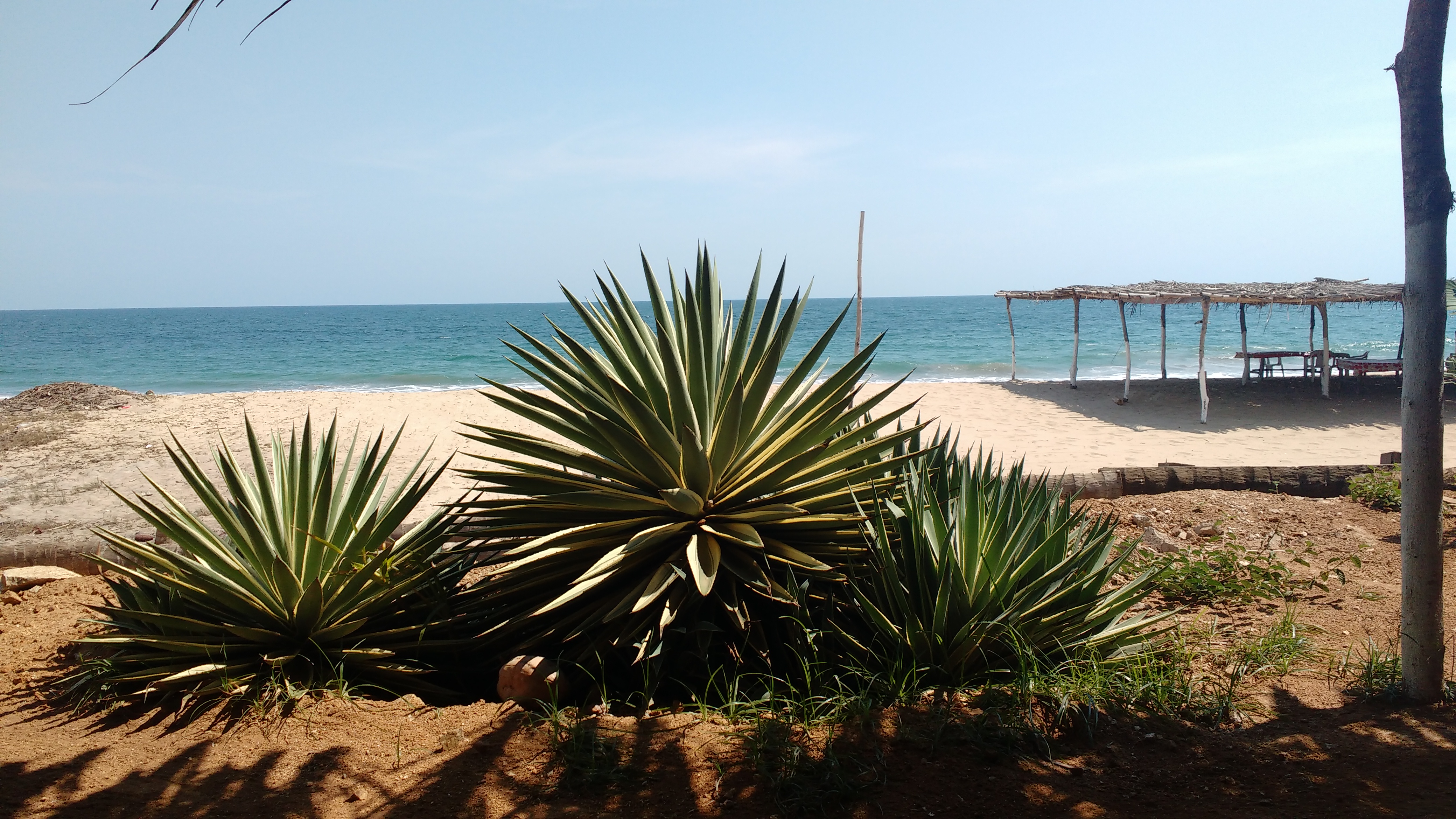 Restaurant La Guitarra image 8