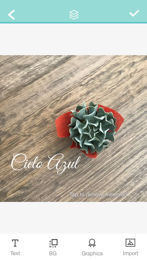 Cielo Azul image 3