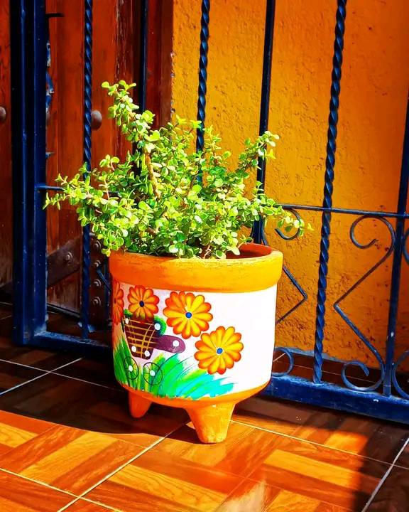 Comedor Los Arcos image 4