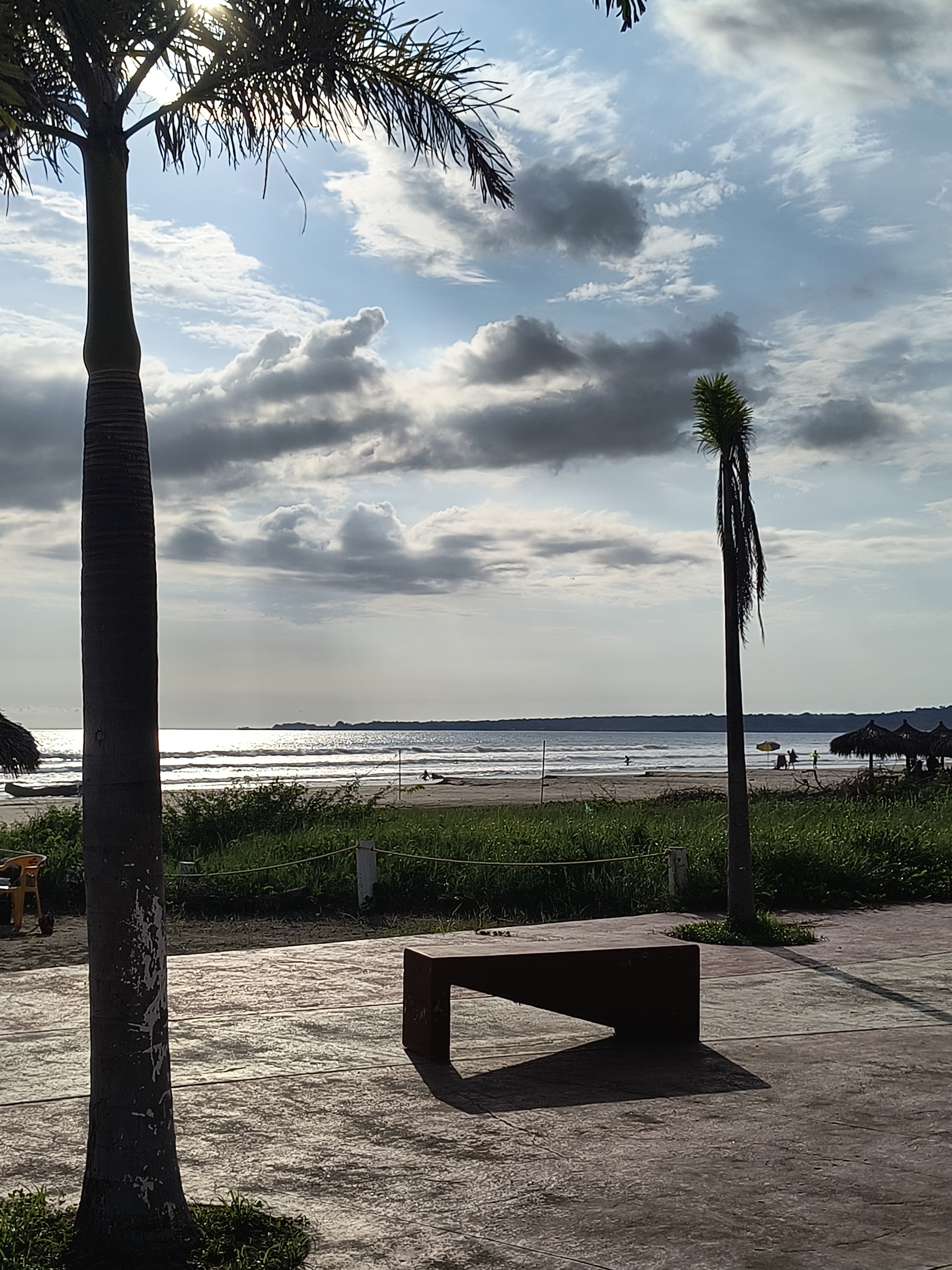 RESTAURANTE EL ESTERO MATANCHEN image 8