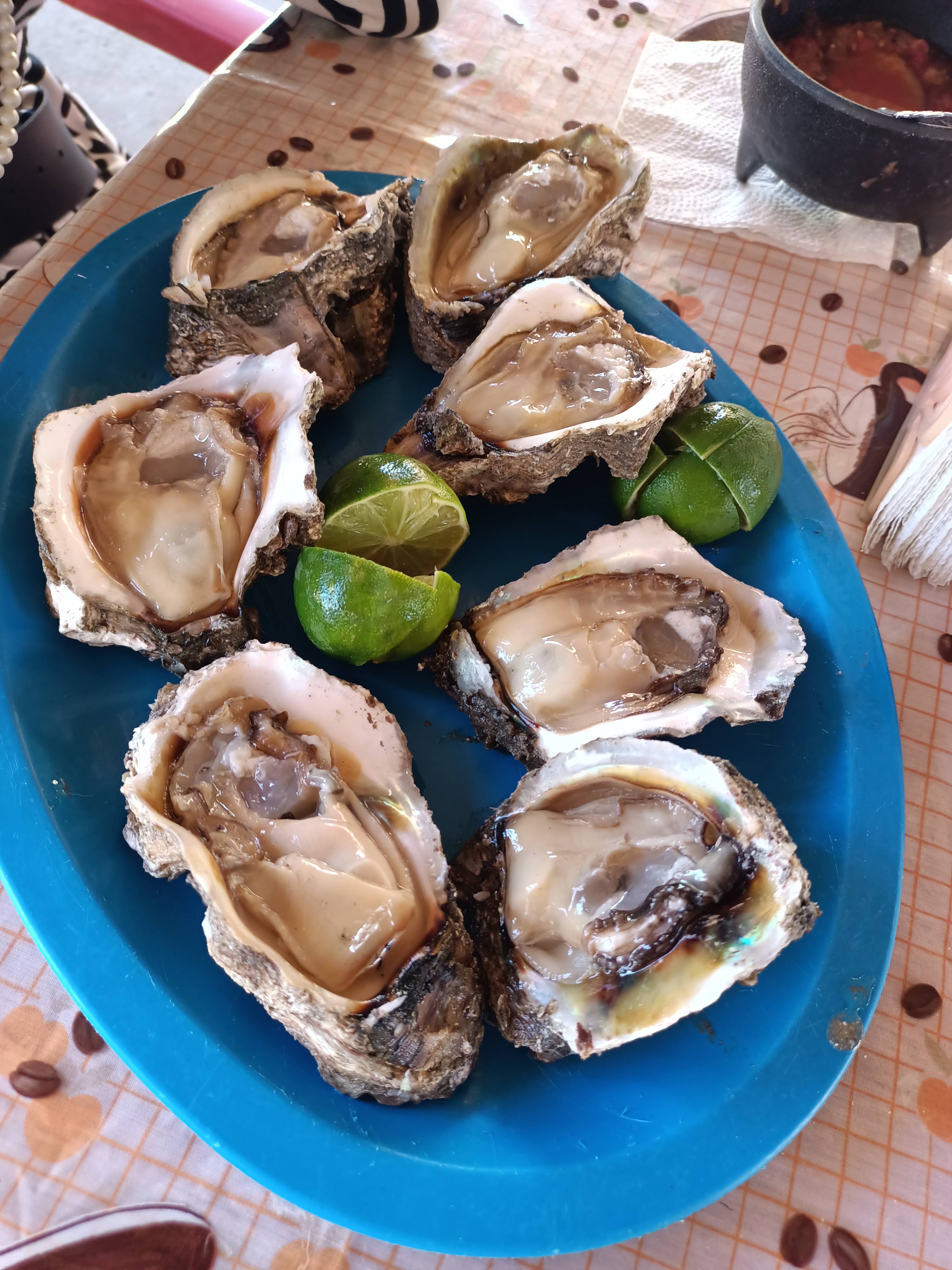 Mar y Tierra Restaurant image 2