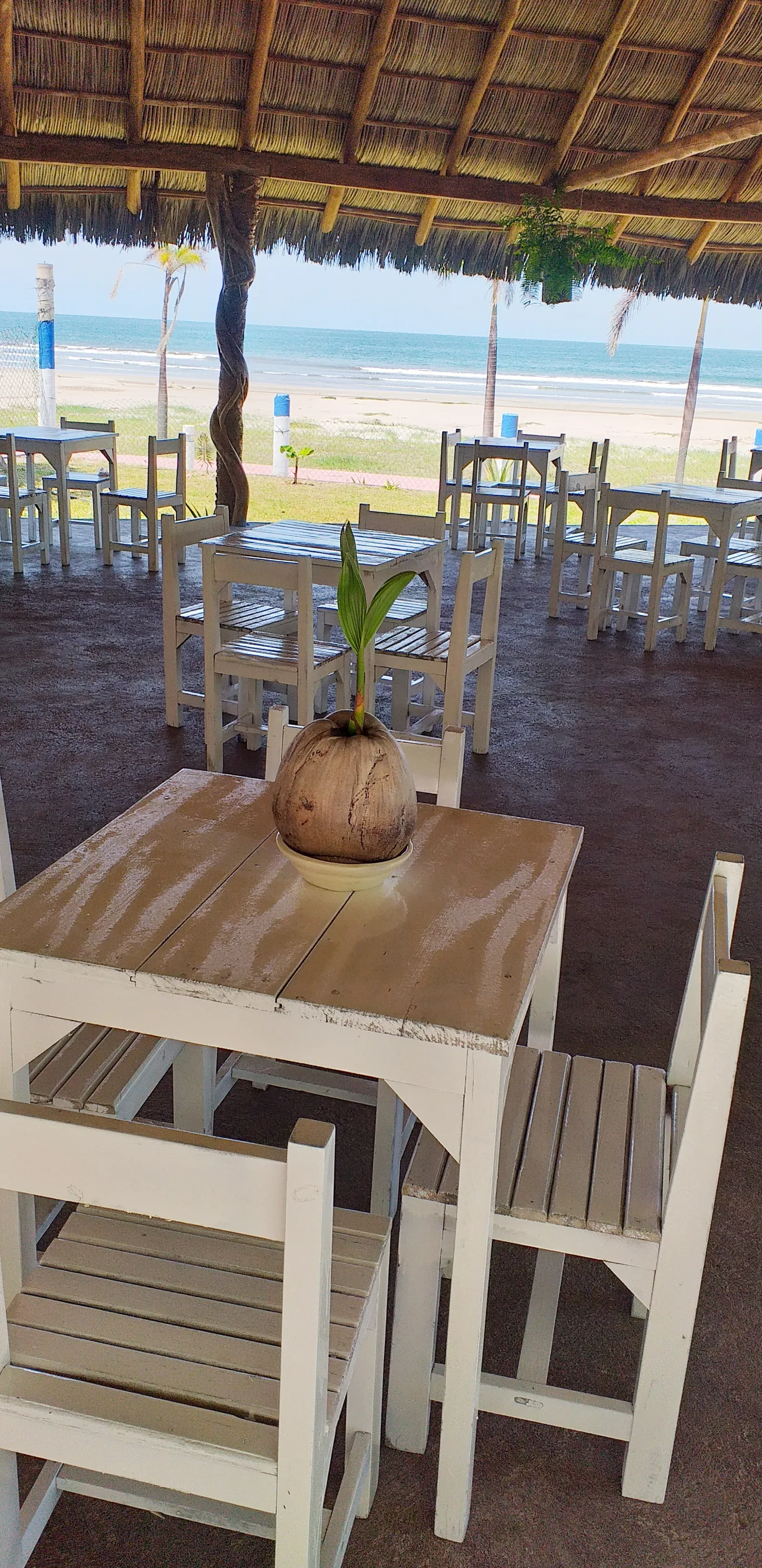 Restaurante image 9
