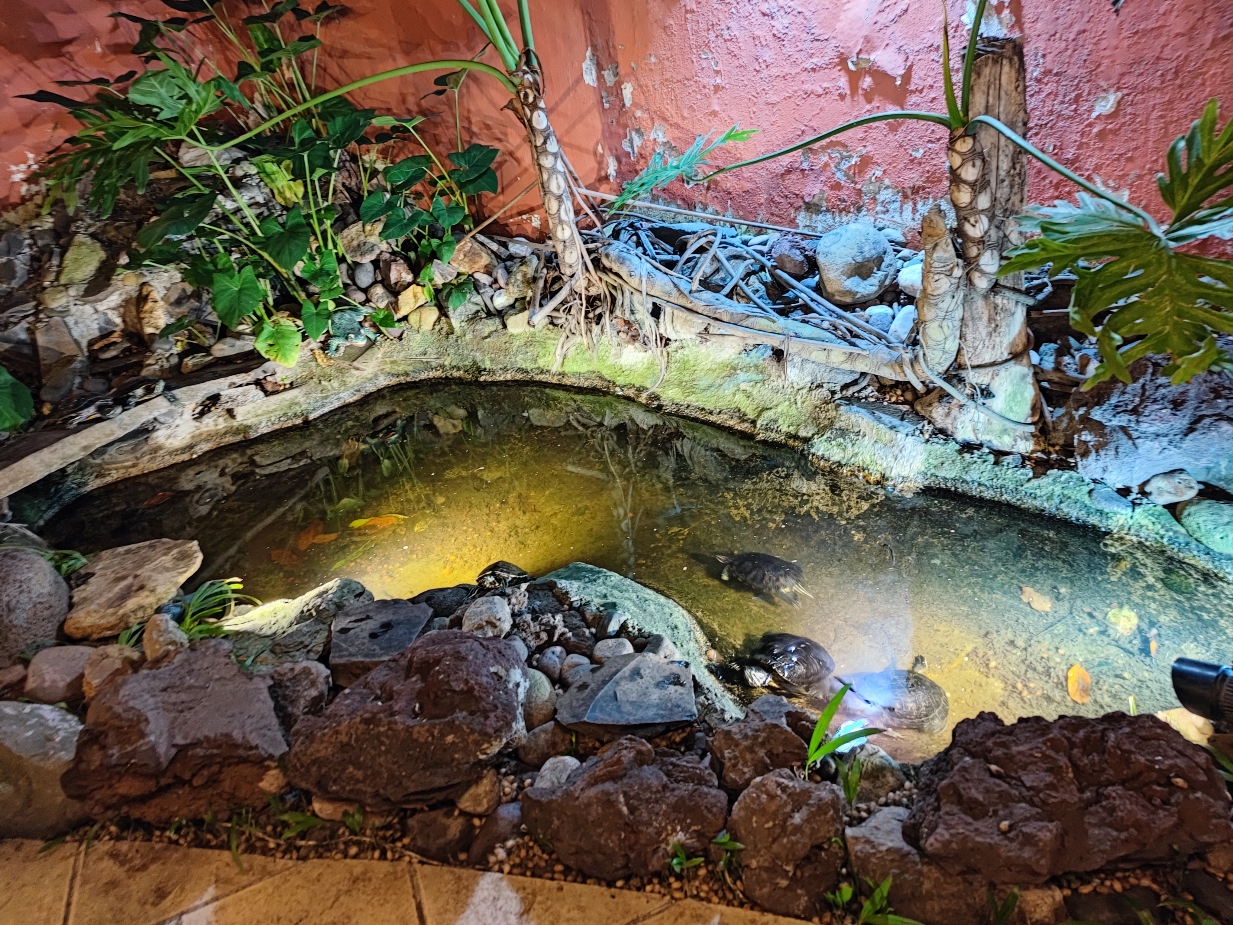 Restaurant Dutch's image 3