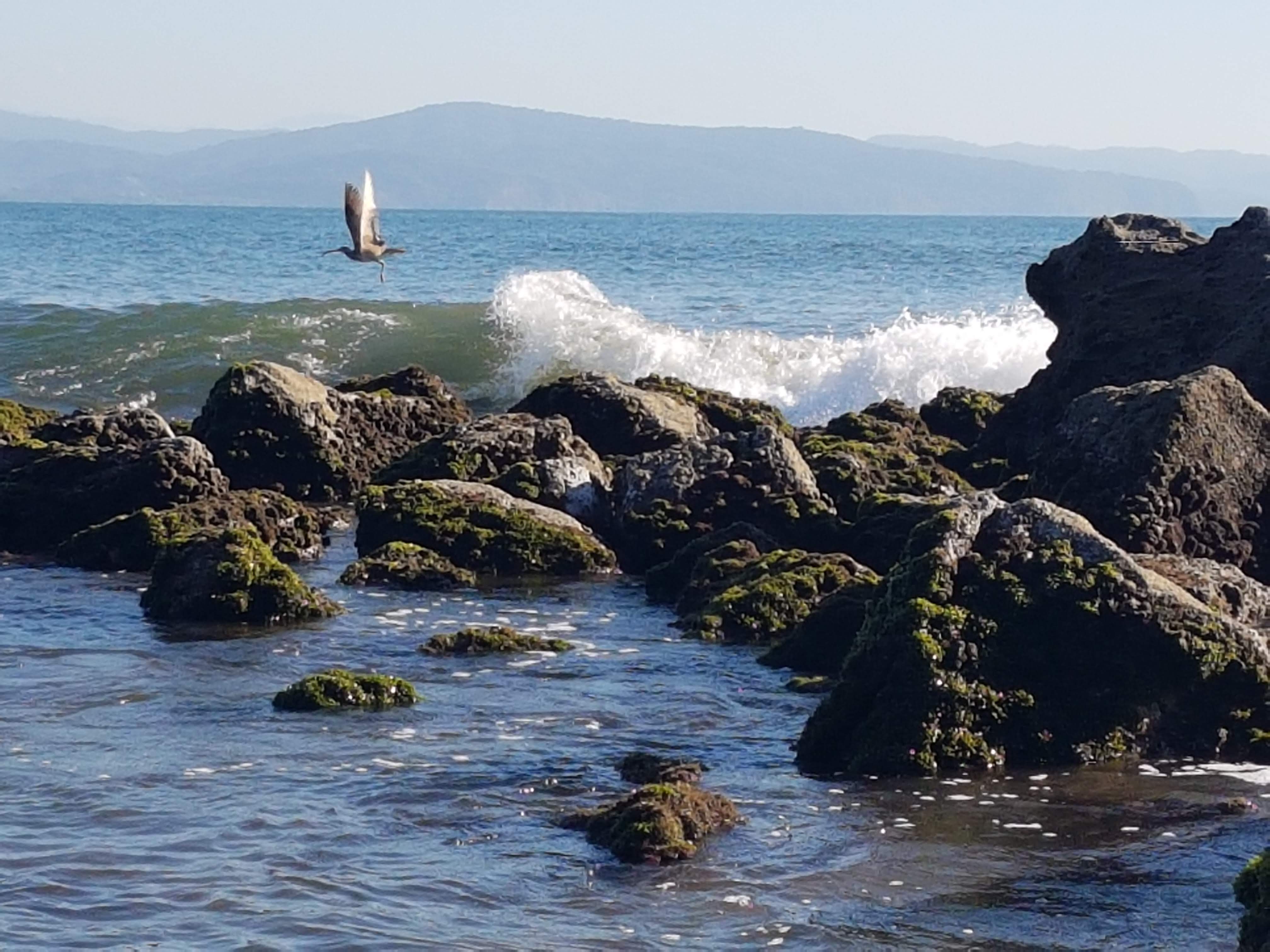 Restaurante Mysis III image 9