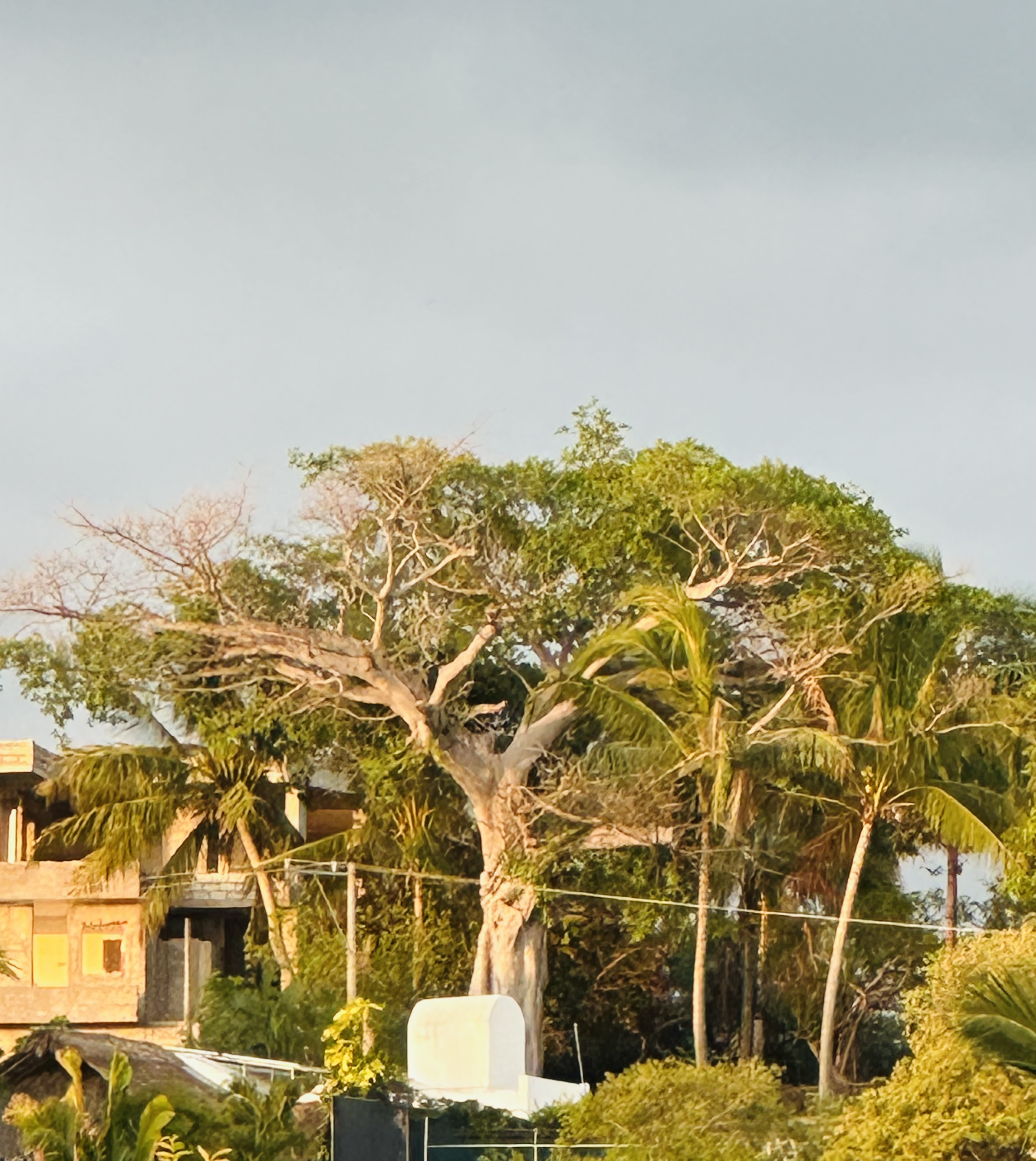 Vista Bahia restaurante image 7
