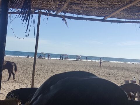 Restaurante Playa Bonita image 5