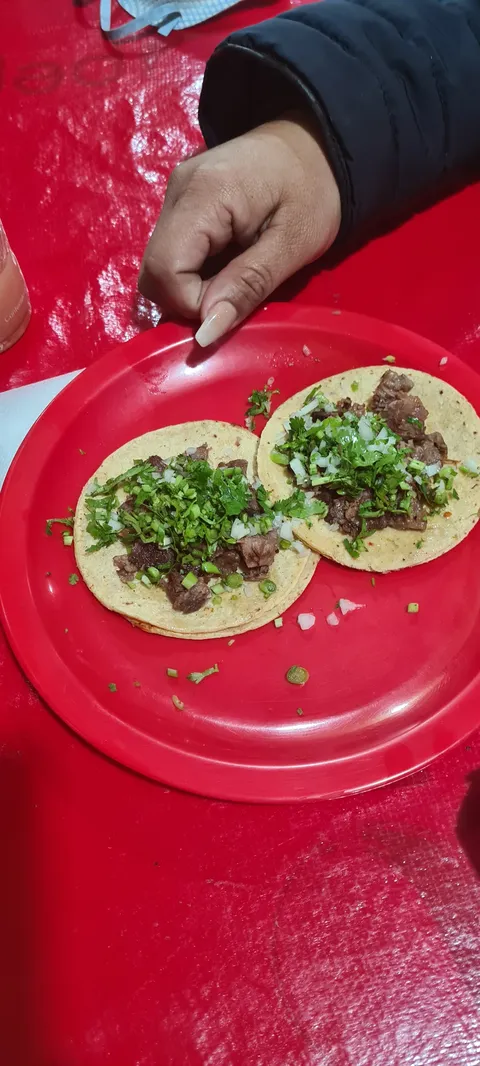 Tacos El Torito Mixe Tlaxcoapan image 6