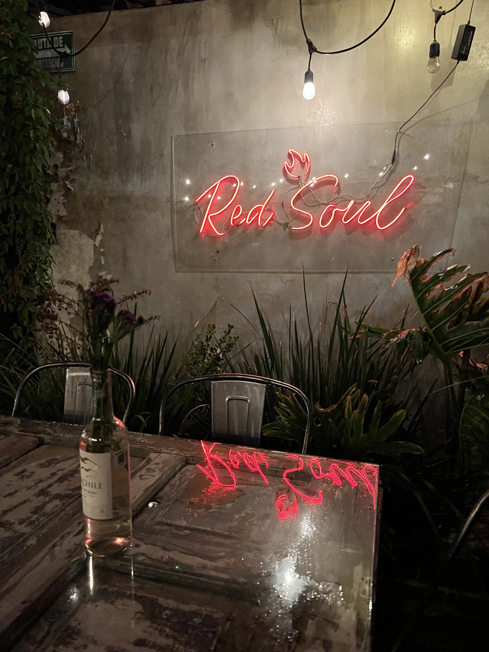 Red Soul image 9