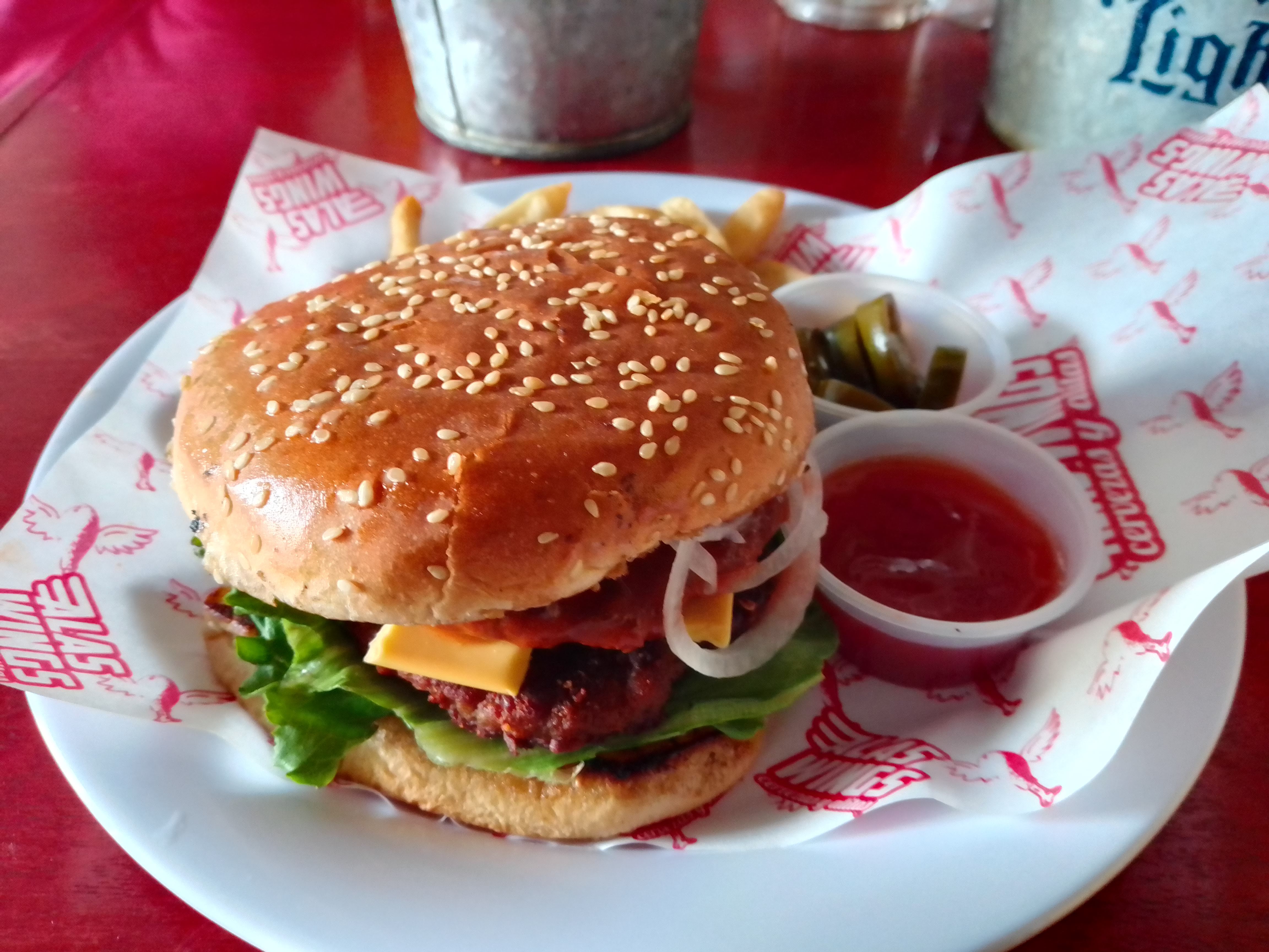 Alas Wings La Barca image 5