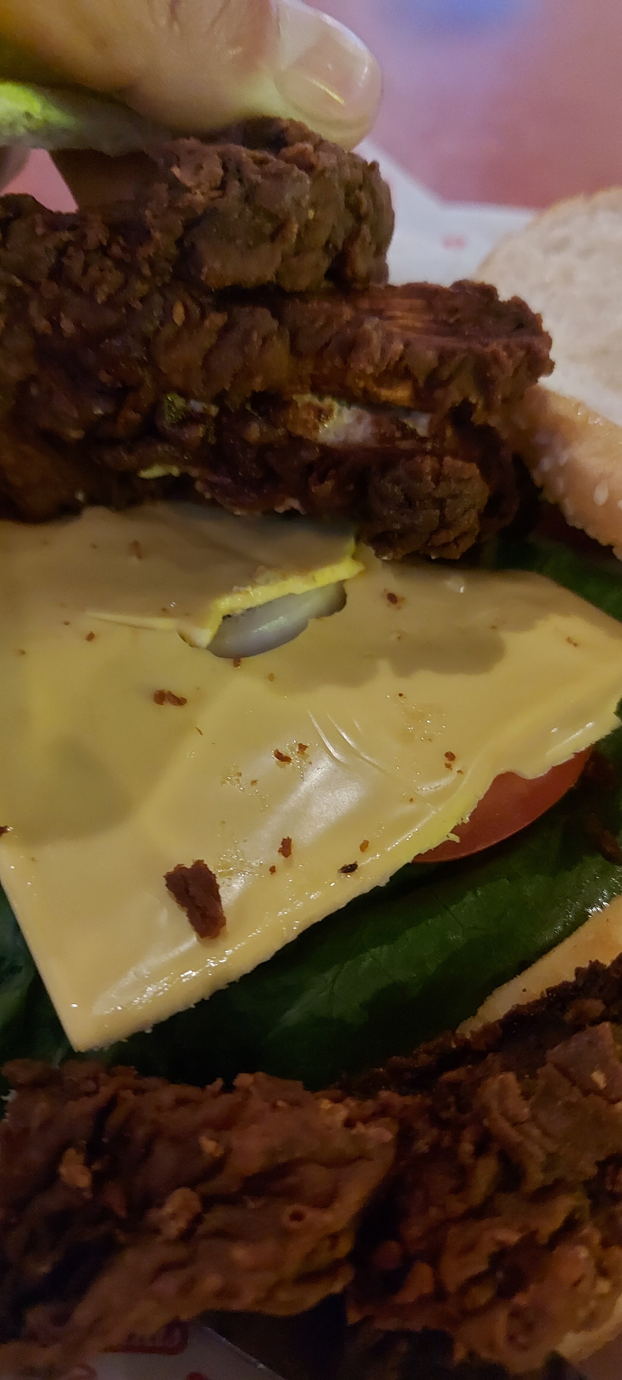 Alas Wings La Barca image 6