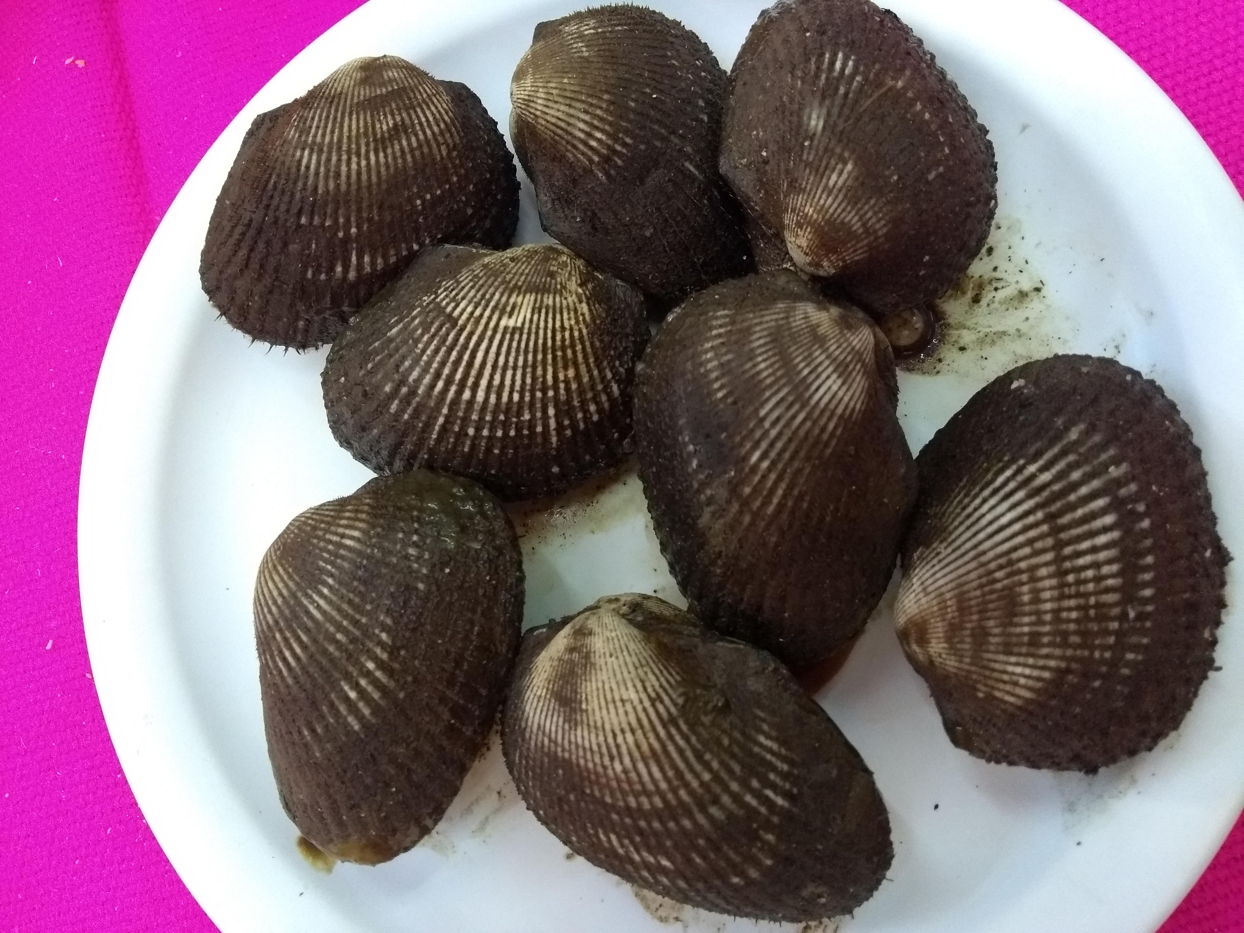 MAriscos Lupita image 4