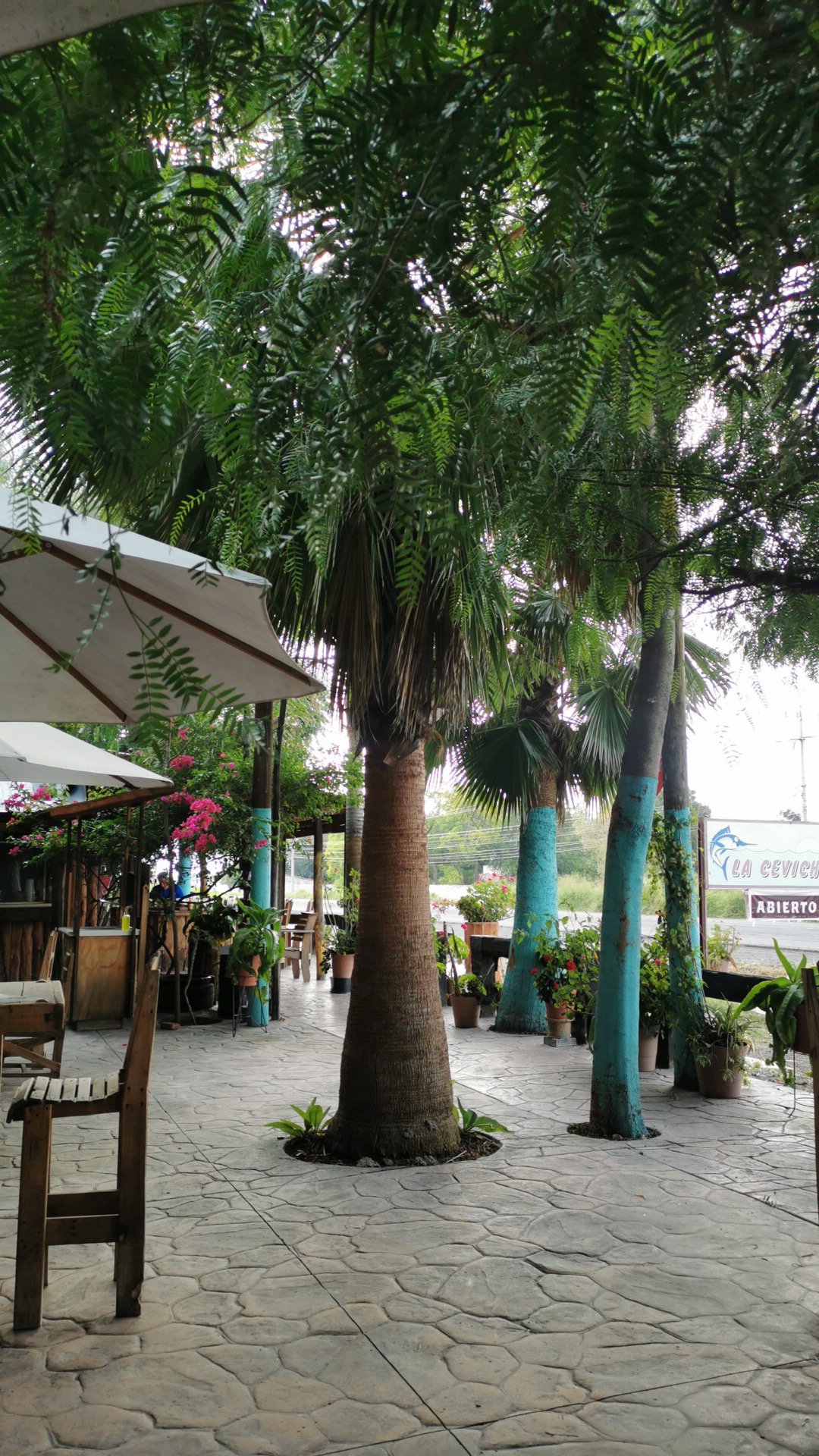 Mariscos Las Palmas image 5