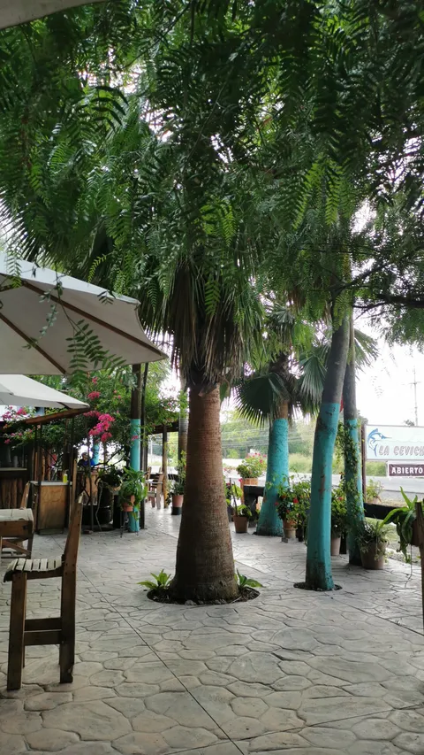 Mariscos Las Palmas image 5