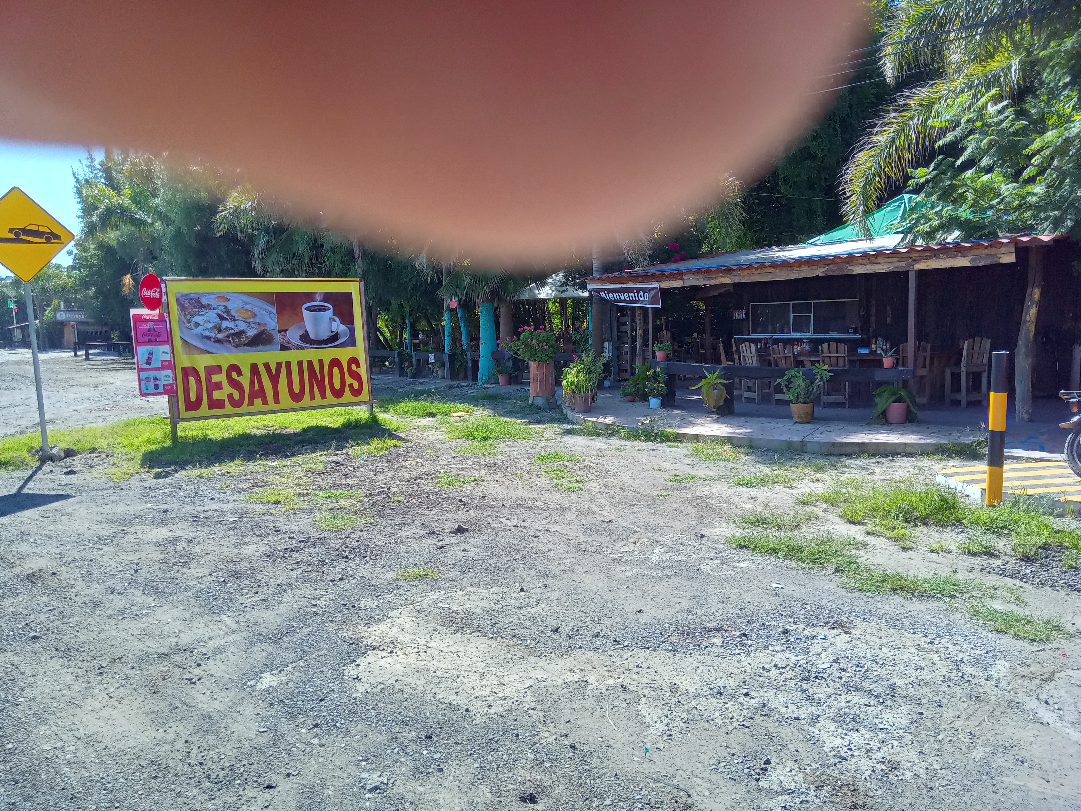 Mariscos Las Palmas image 6