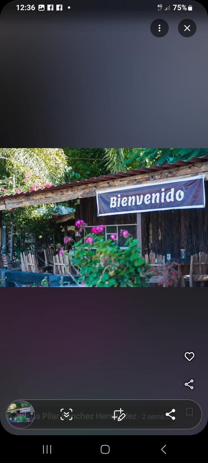 Mariscos Las Palmas image 8