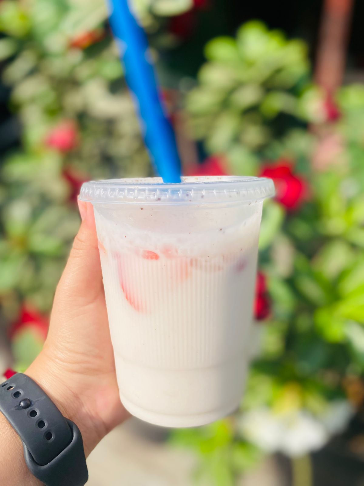 Enchiladas Aurelia image 5