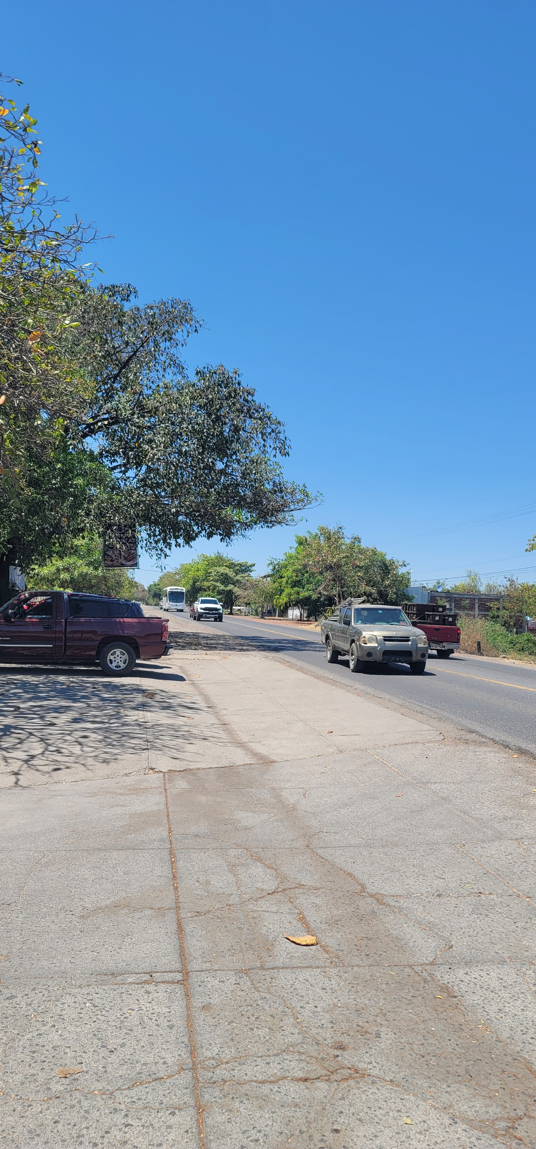 Enchiladas Aurelia image 8