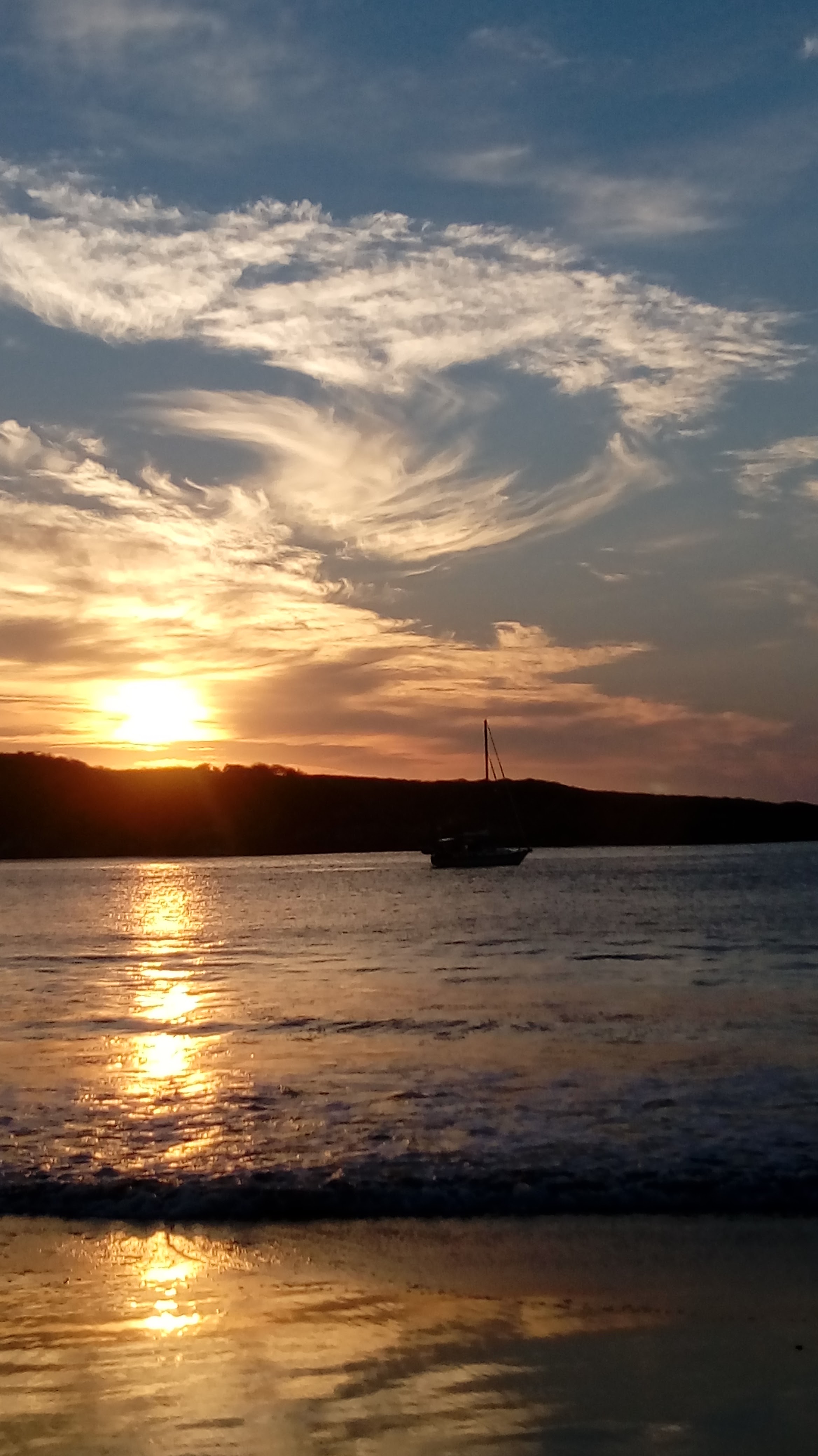 Mariscos el delfin image 6