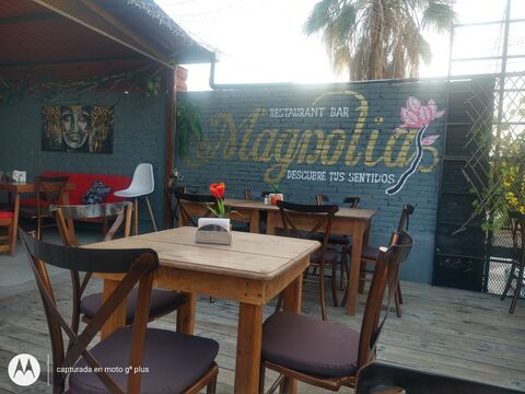 MAGNOLIA “Restaurant-bar”. image 6