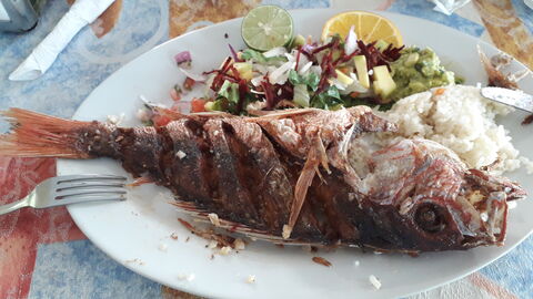 RESTAURANTES DE MARISCOS BRISAS DEL MAR image 4