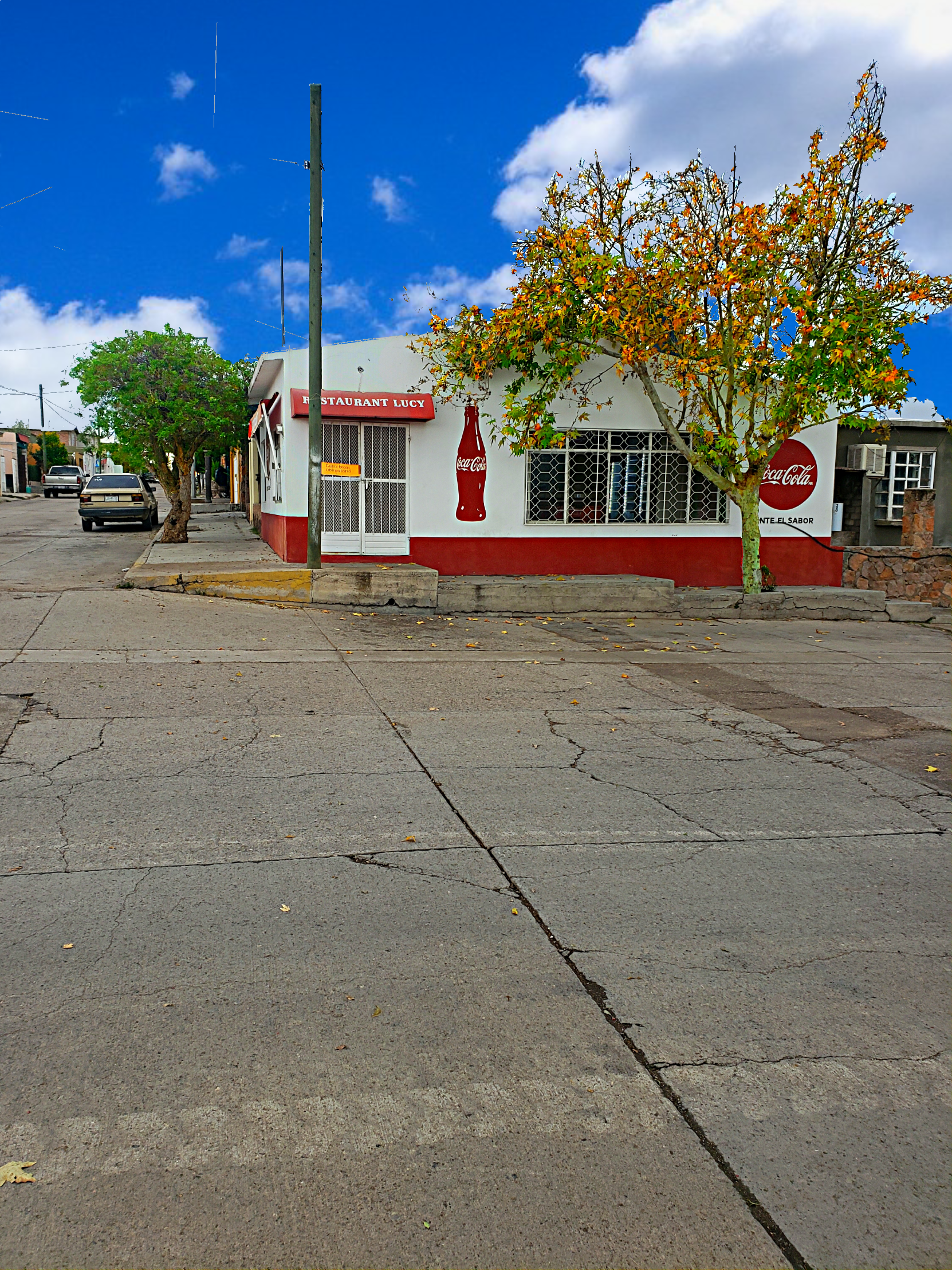 Restaurant Lucy image 1