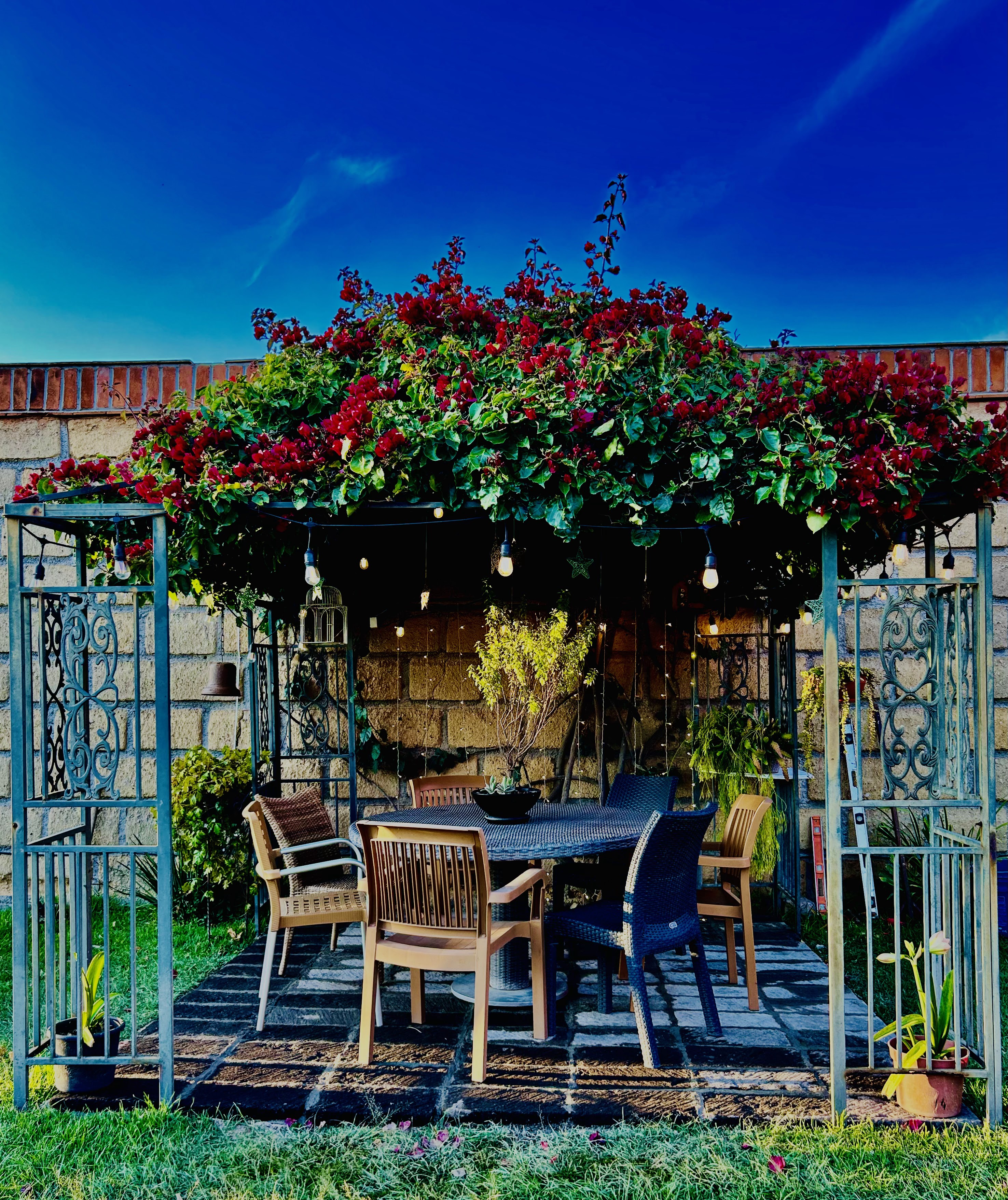 Los Tarasquillos image 1