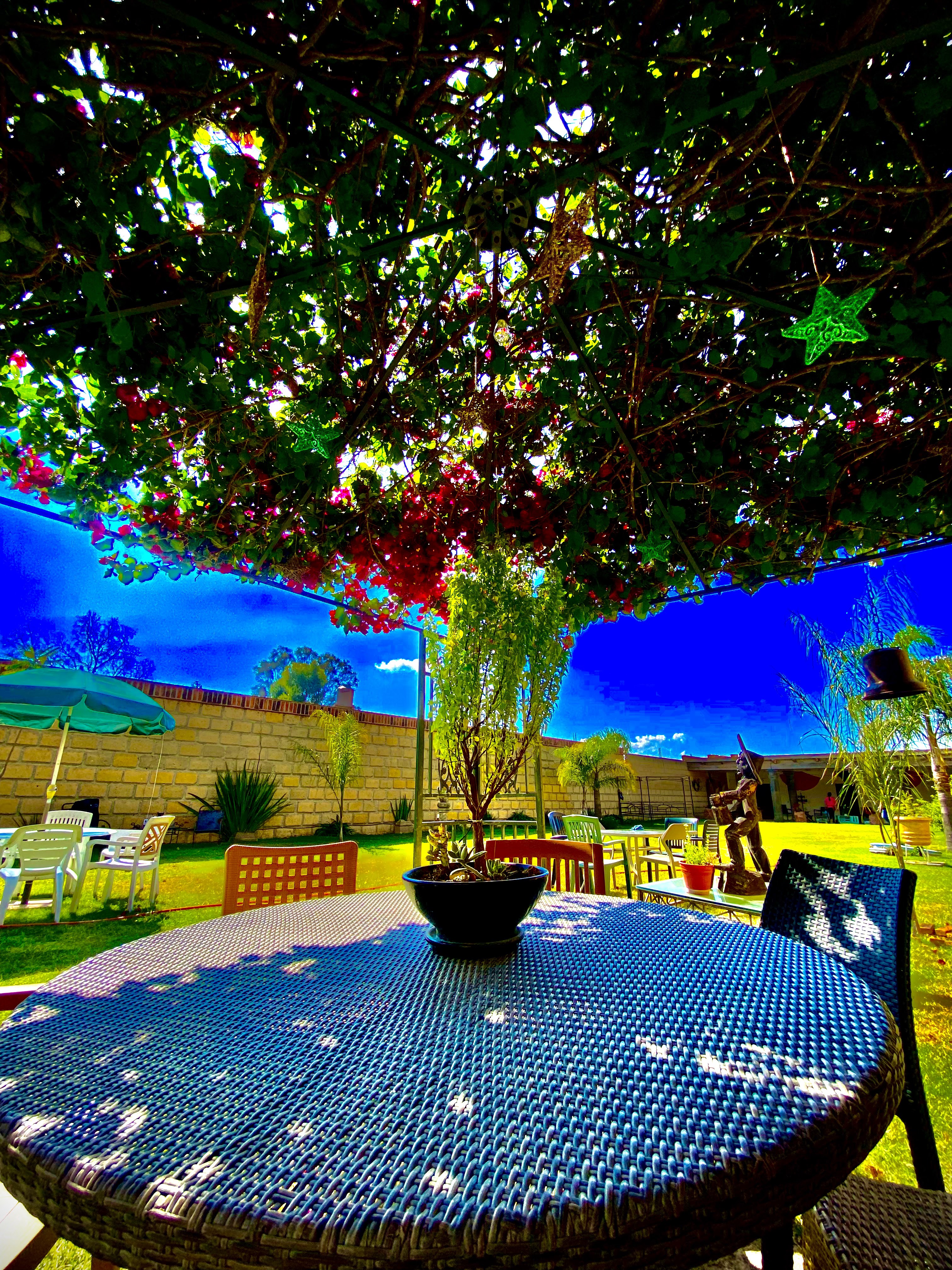 Los Tarasquillos image 5