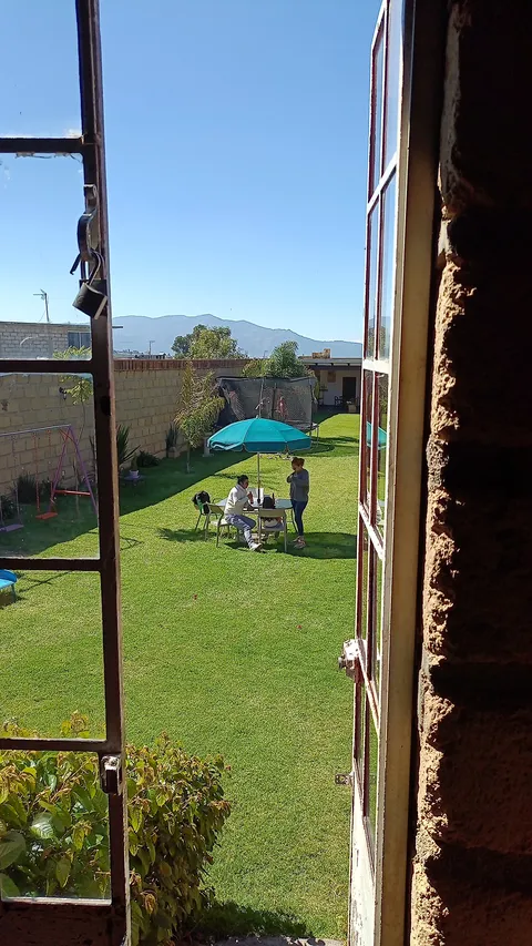 Los Tarasquillos image 8