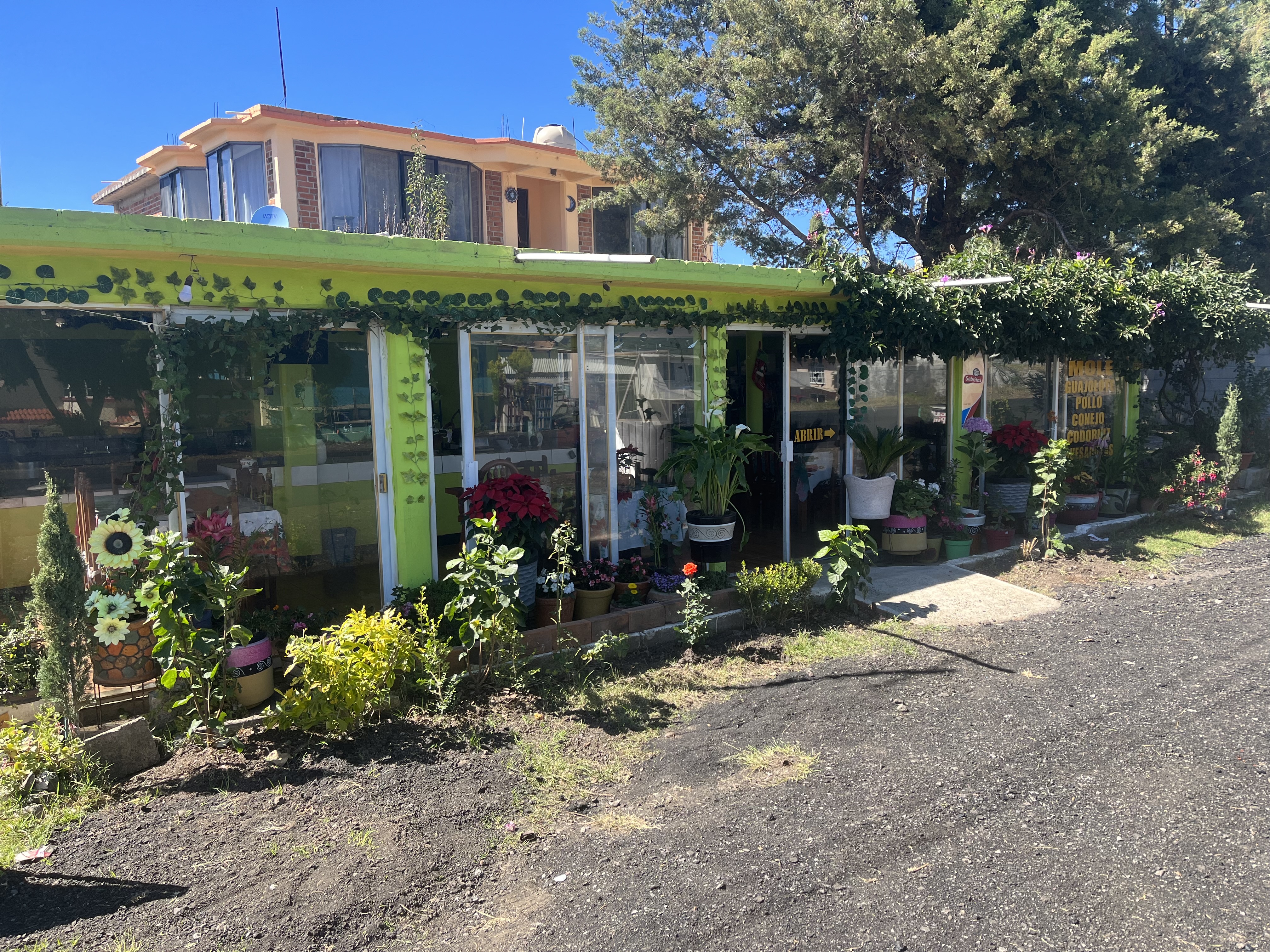 COMEDOR FAMILIA "LOS PINOS" MOLE image 5