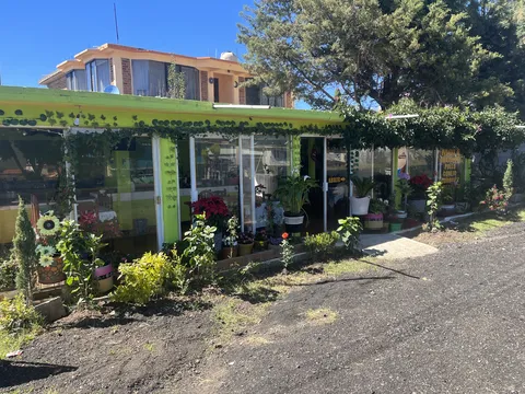 COMEDOR FAMILIA "LOS PINOS" MOLE image 5