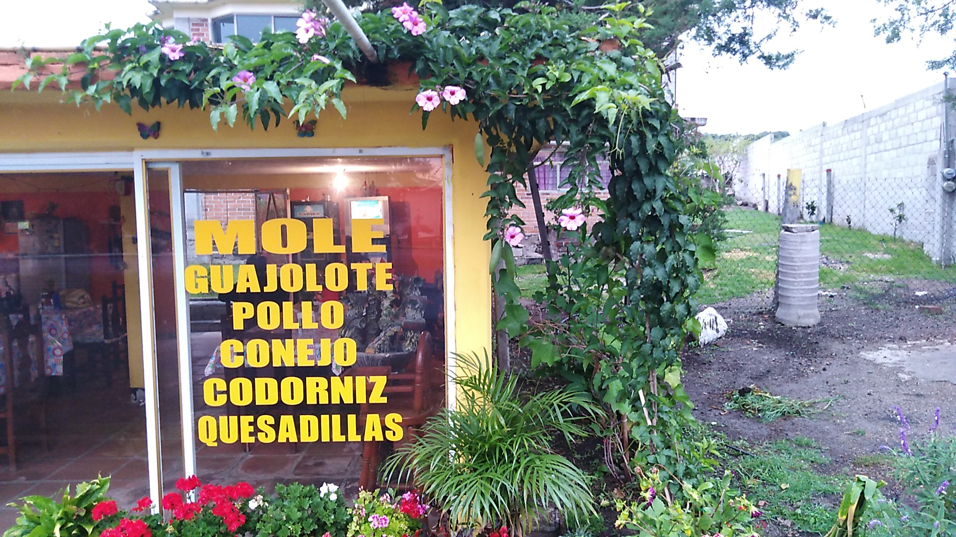 COMEDOR FAMILIA "LOS PINOS" MOLE image 8