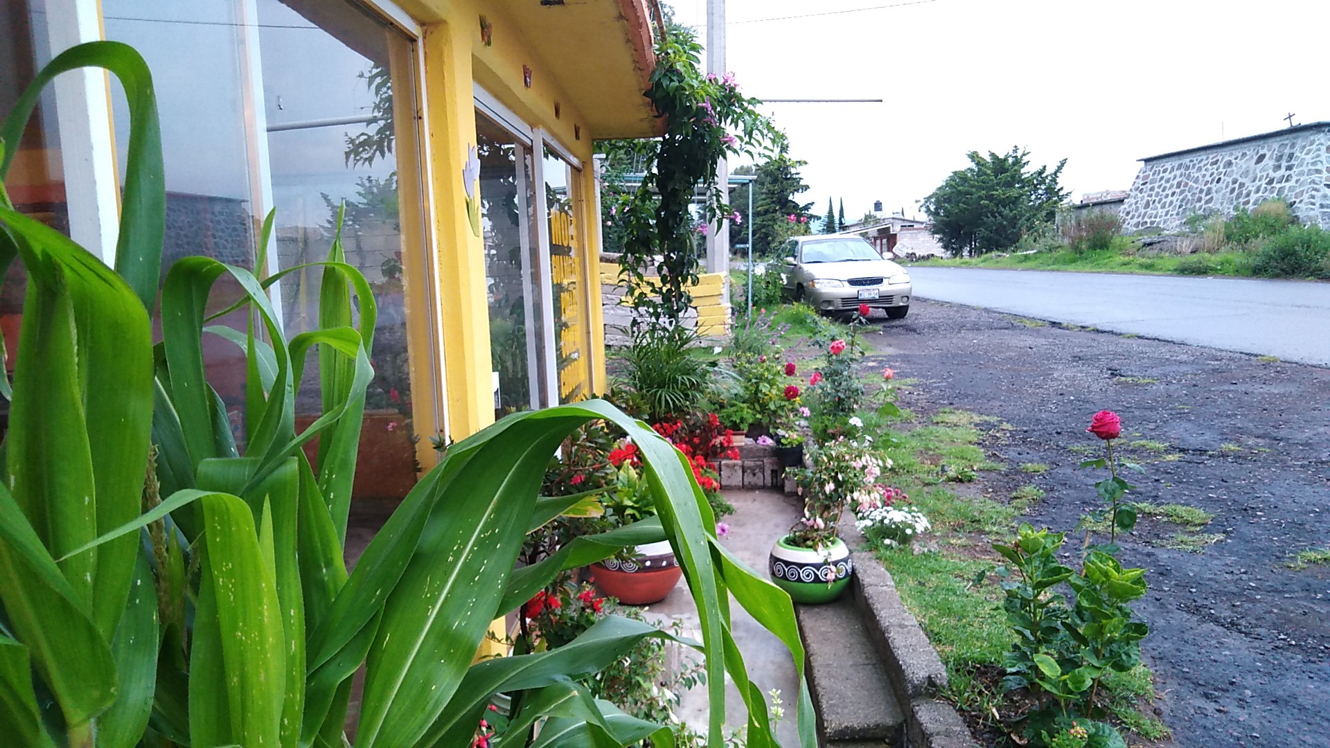 COMEDOR FAMILIA "LOS PINOS" MOLE image 9