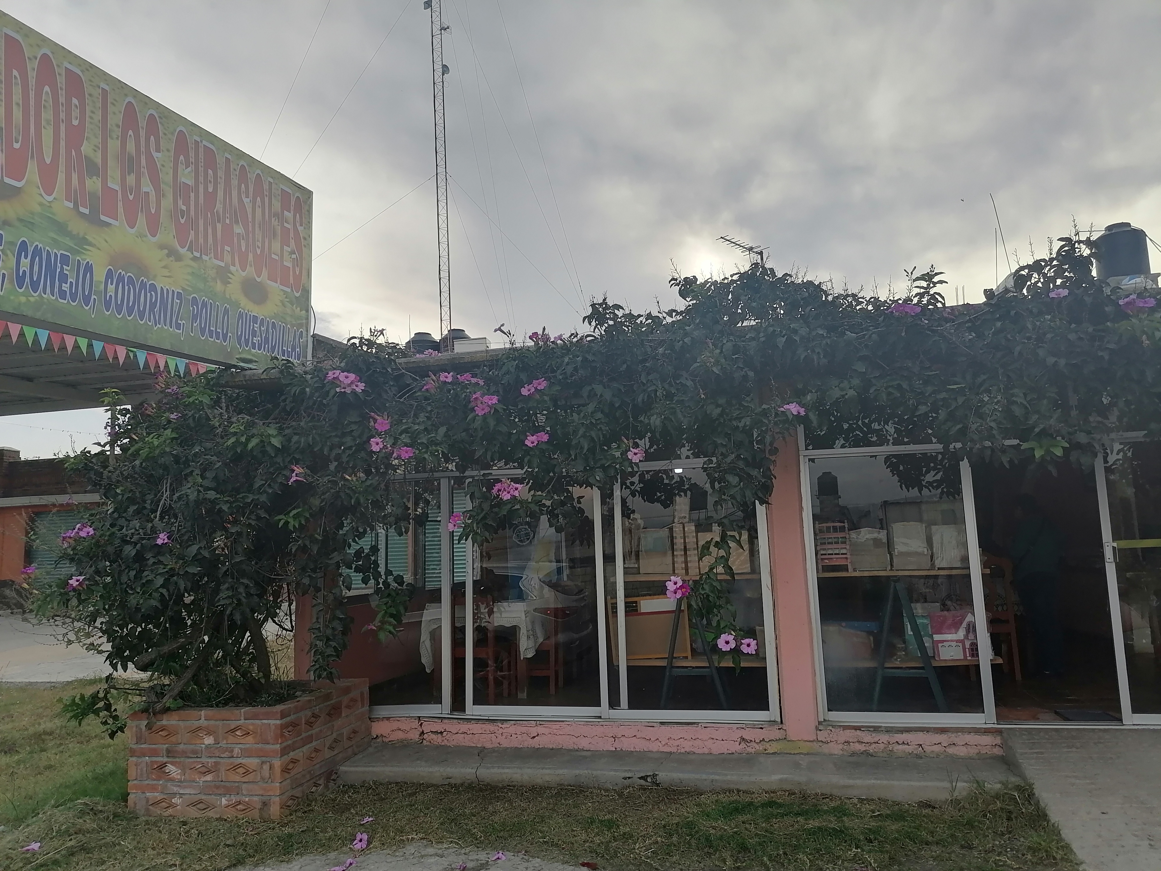 Mole "Los girasoles" image 3