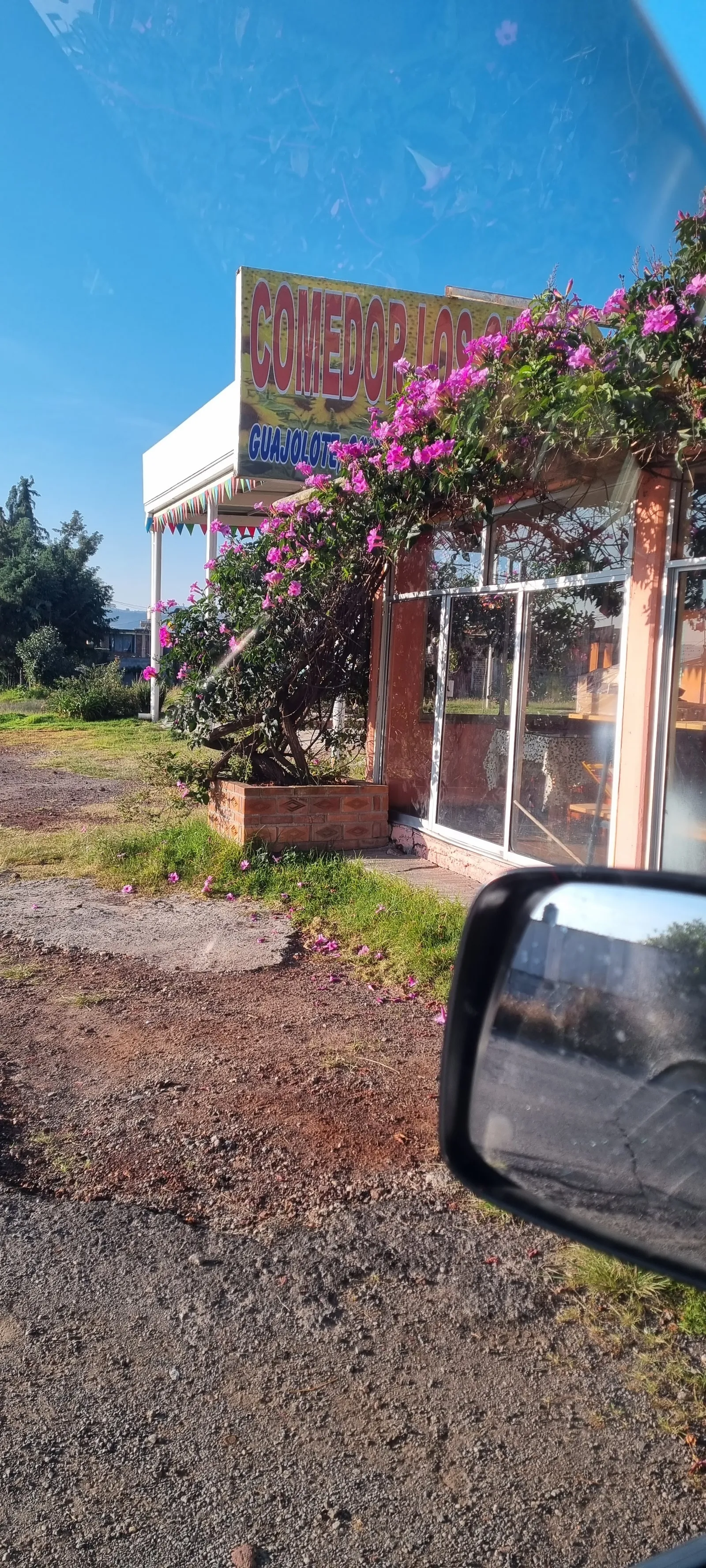 Mole "Los girasoles" image 7