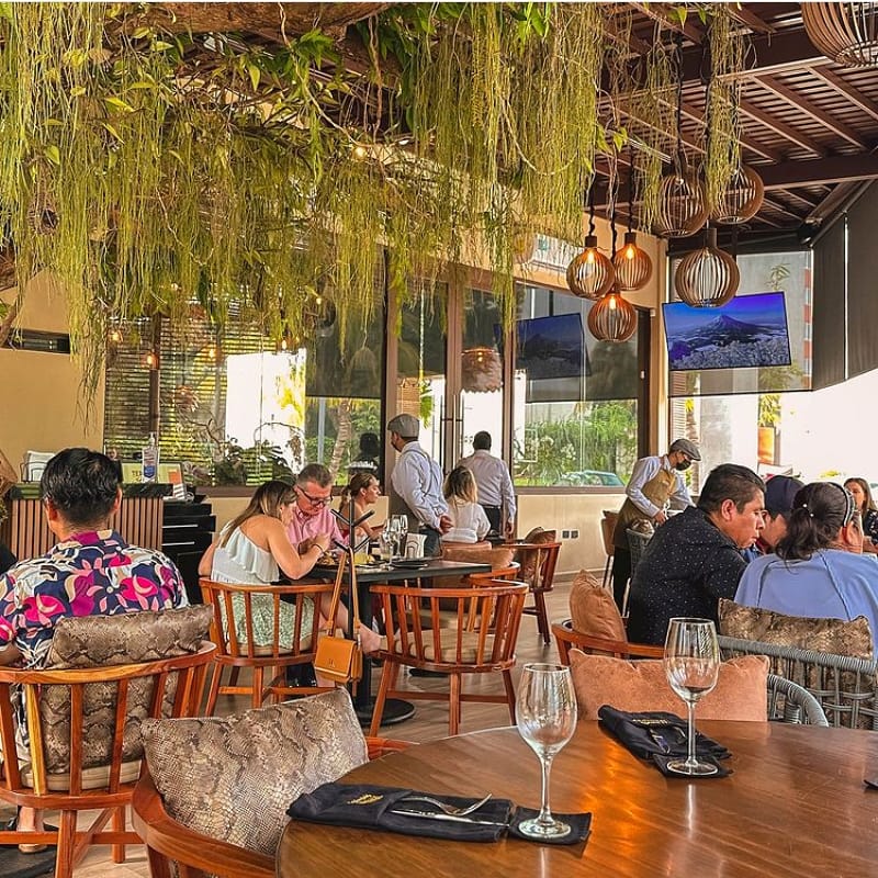 Terraza: Tapas Lounge Tapachula image 1