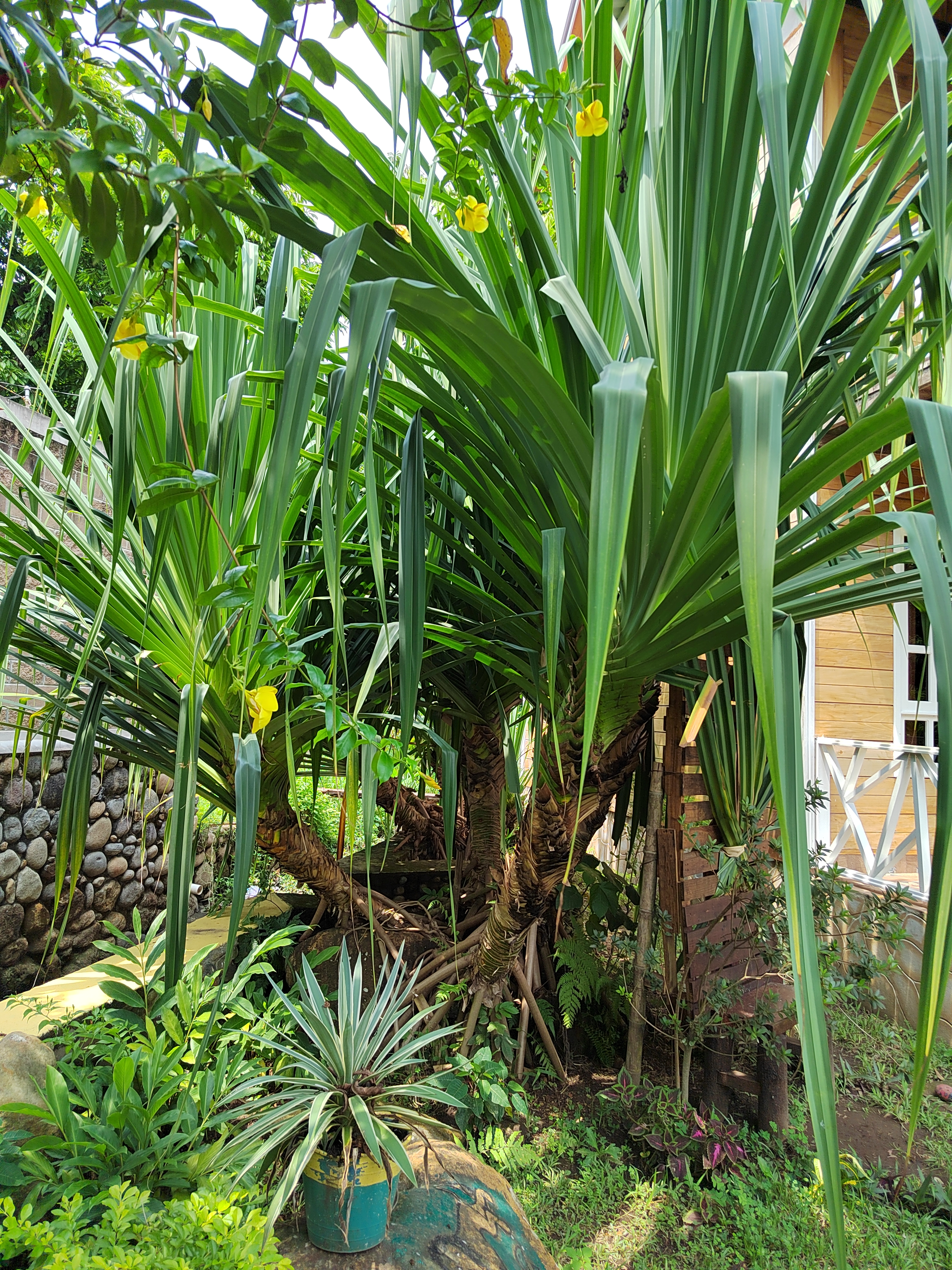 “Restaurante y Cabańa Rincón de hadas” image 9