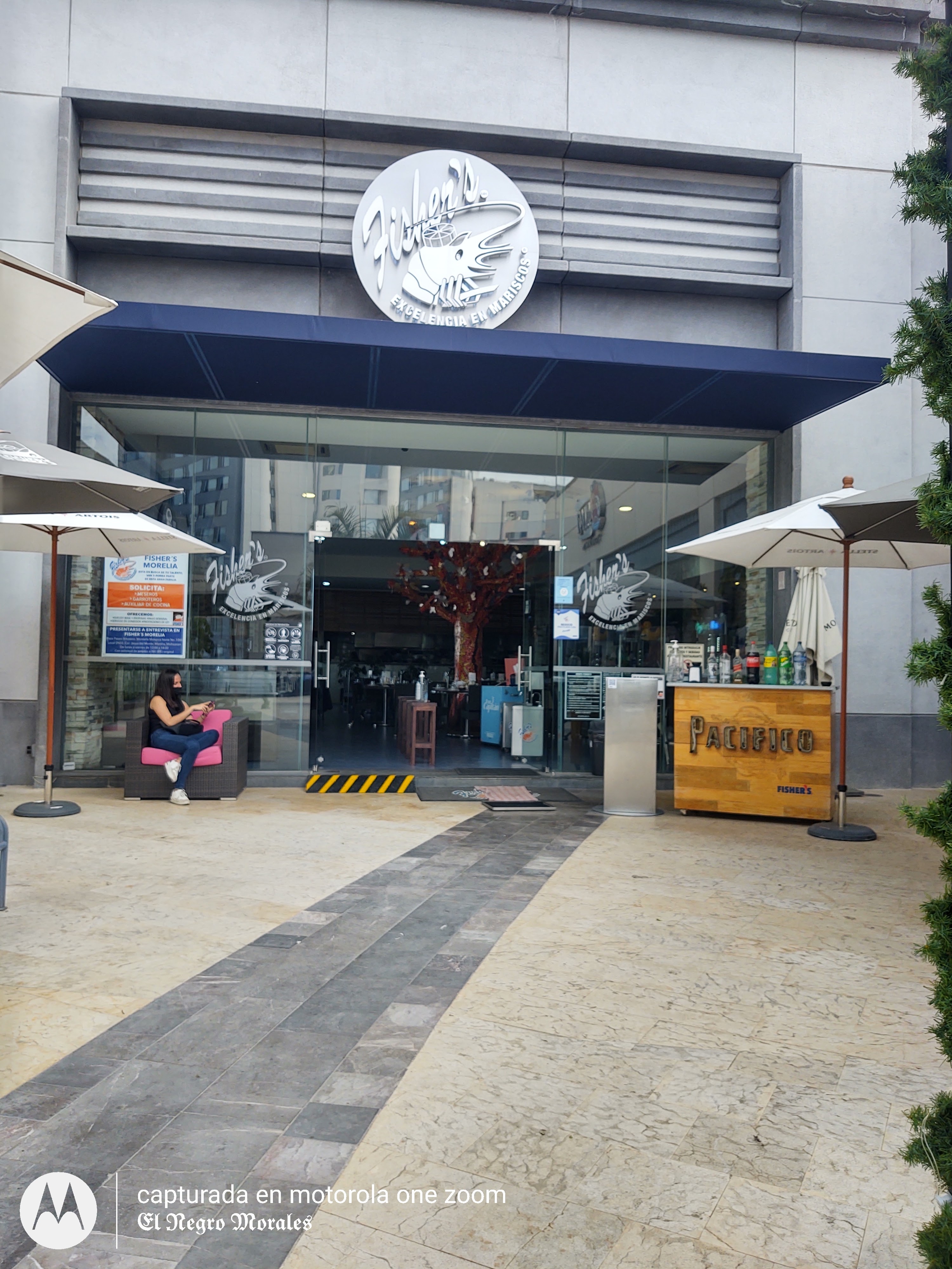 Fisher's Morelia image 5