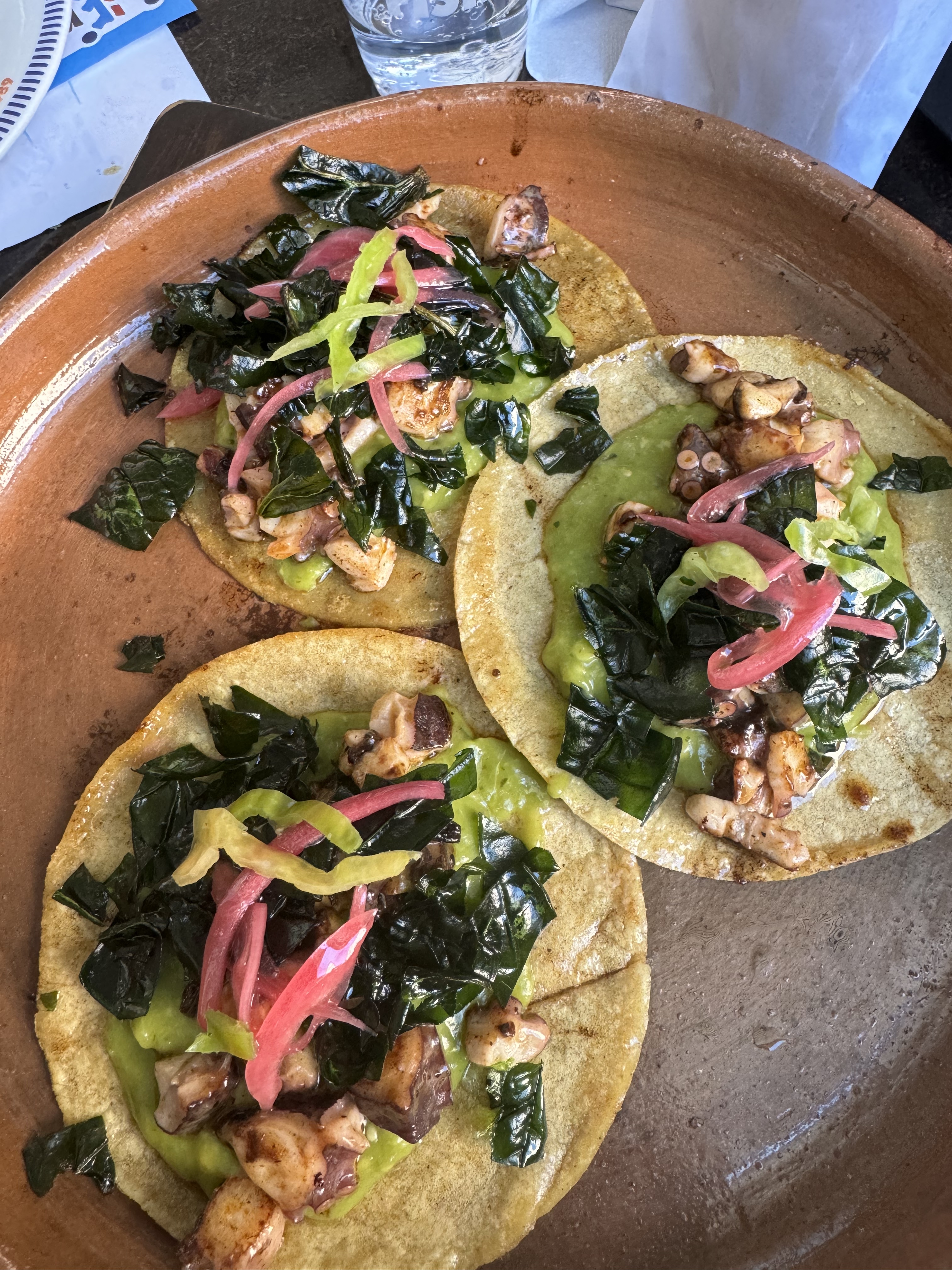 Fisher's Morelia image 7